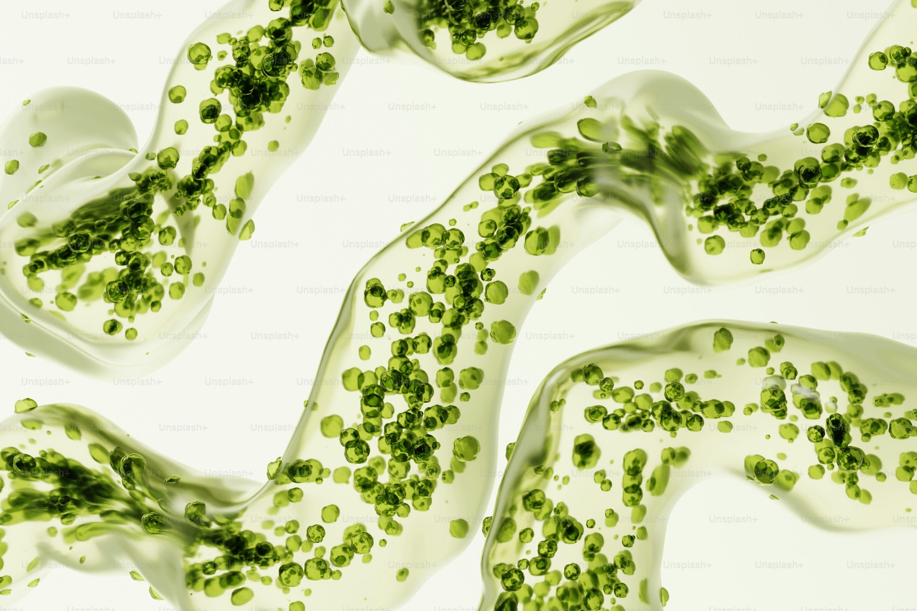 Vista microscópica de algas verdes em tubos transparentes