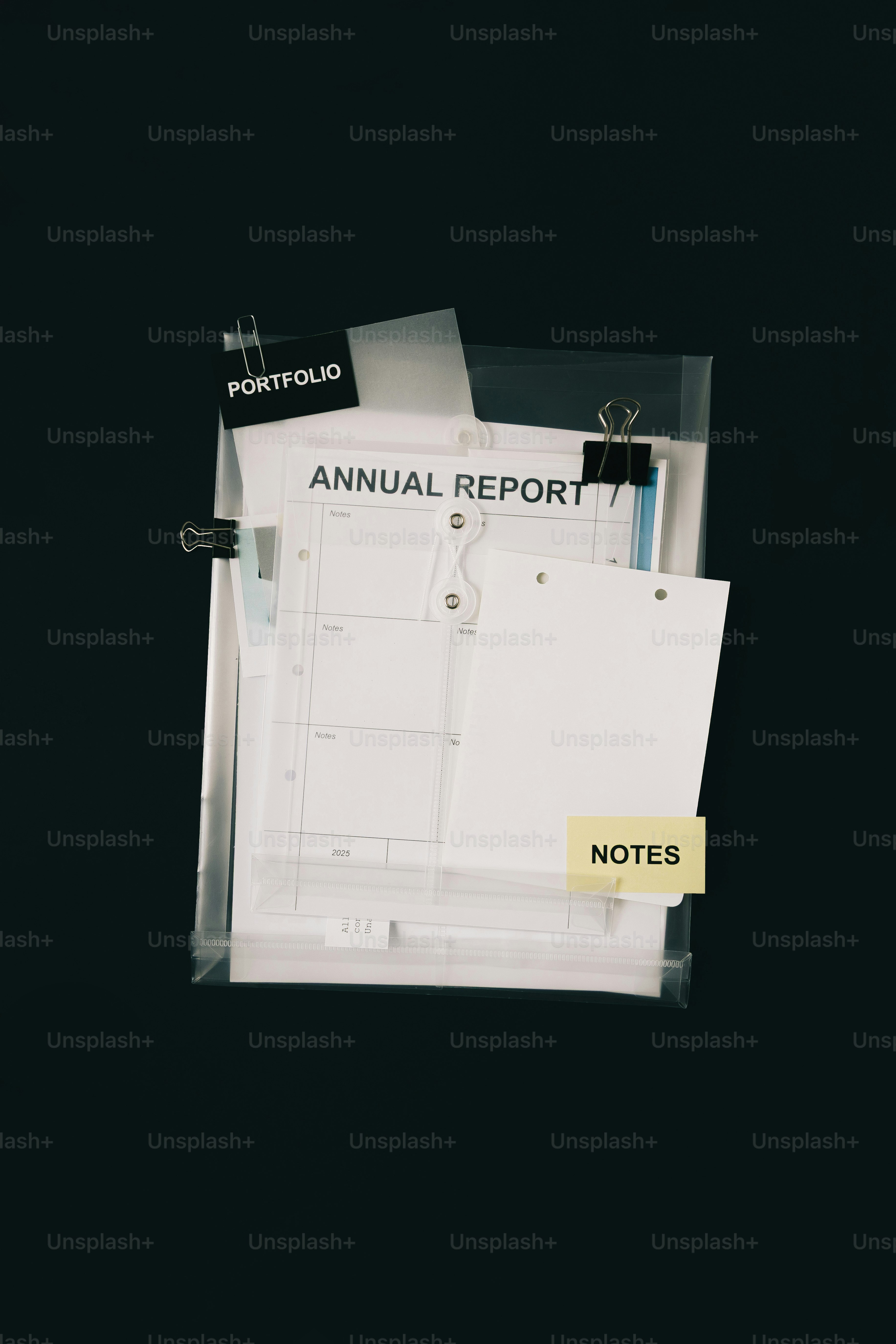 Rapporto annuale e note in una cartella del portfolio