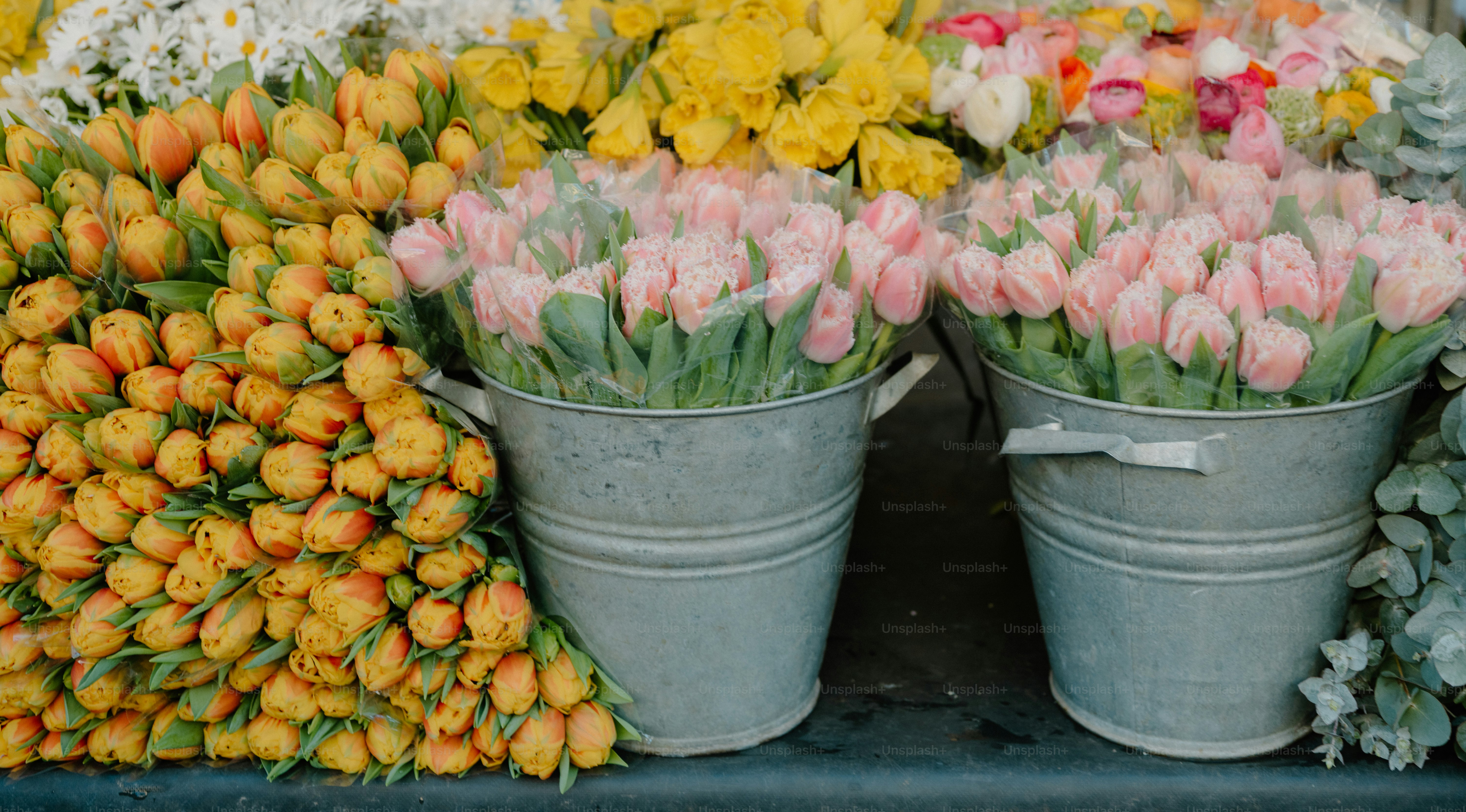 Floral from Unsplash
