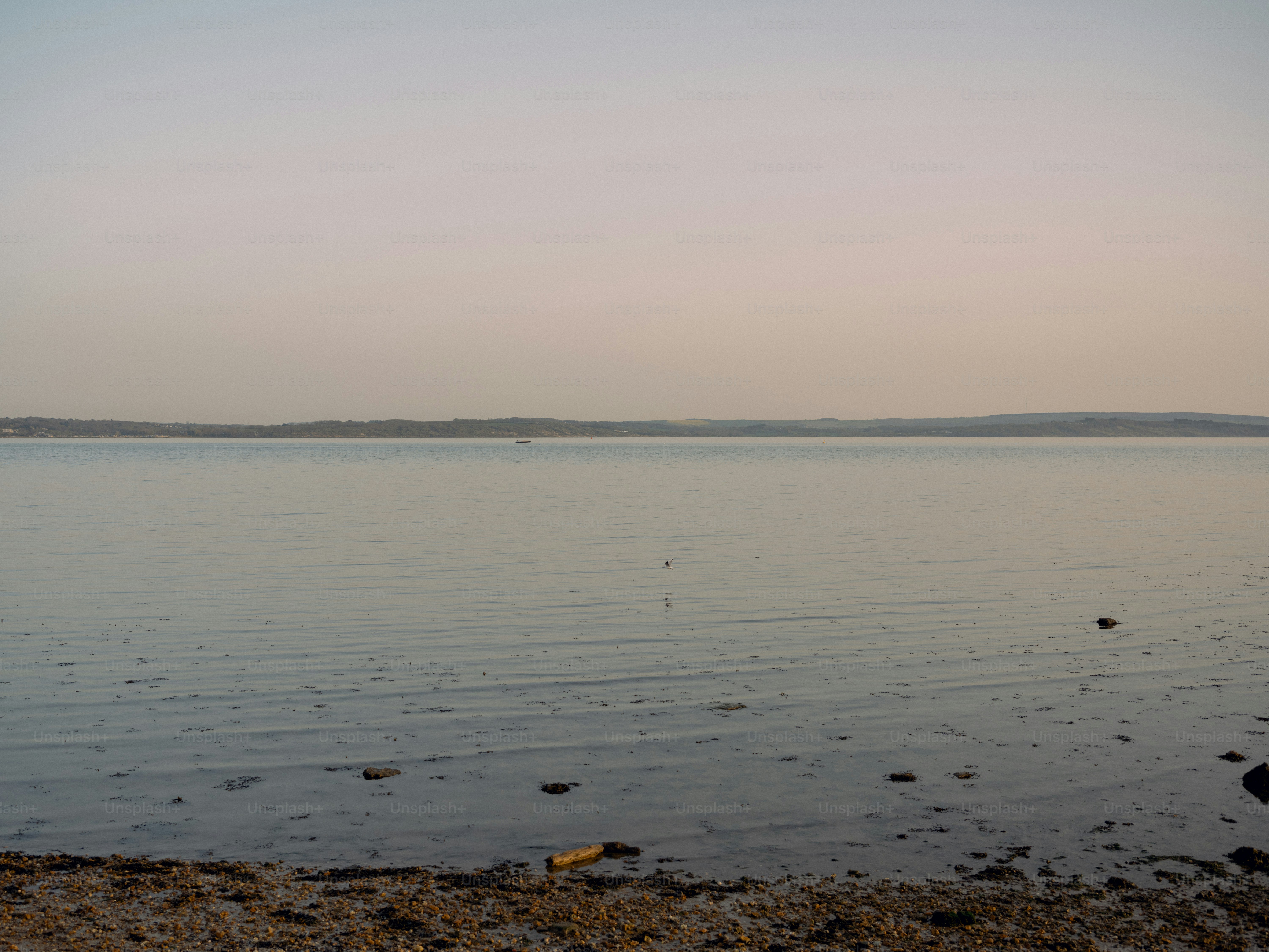 Calm water stretches to the horizon under a pale sky