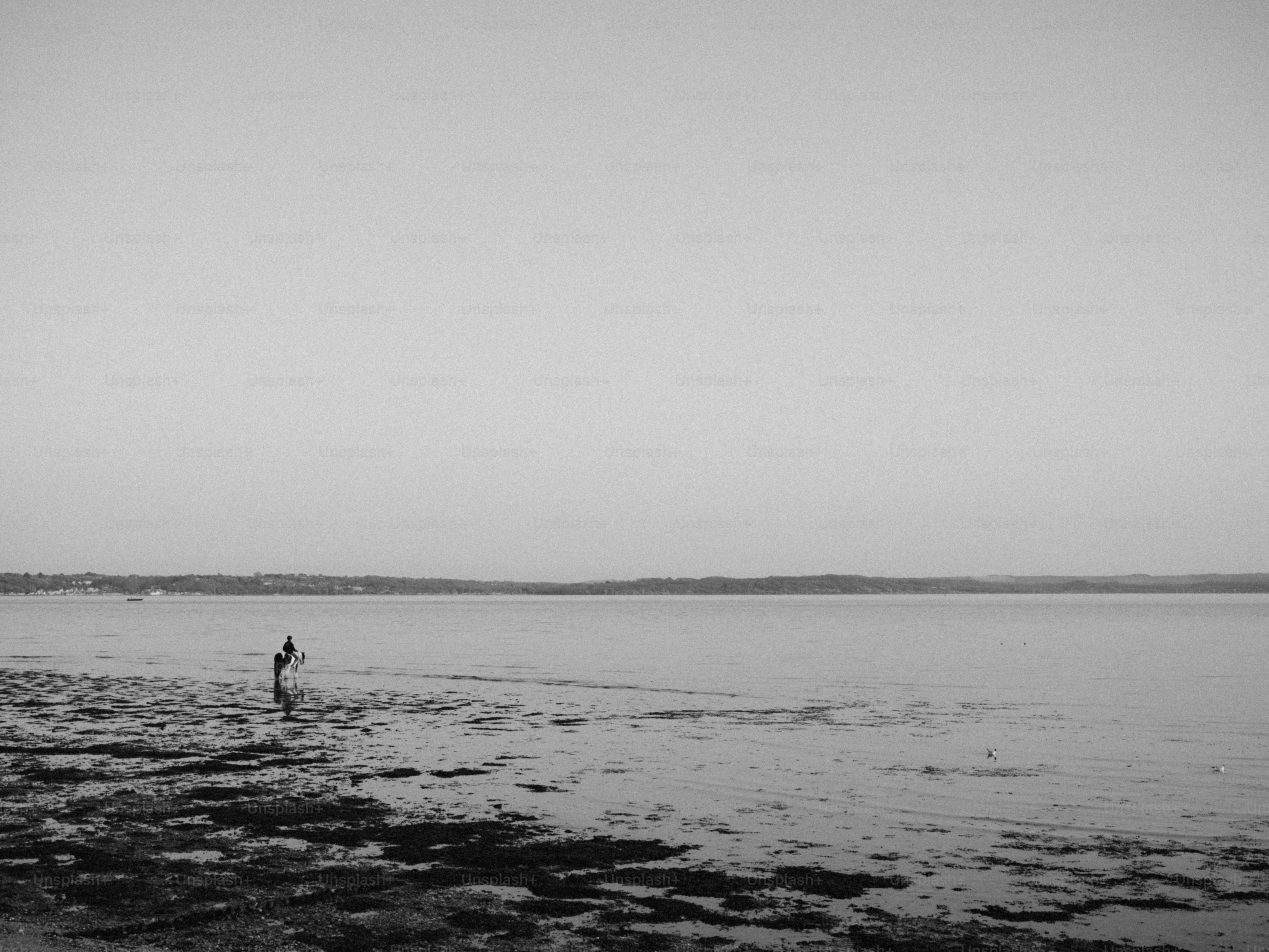 A person walks along a rocky shore by the water.
