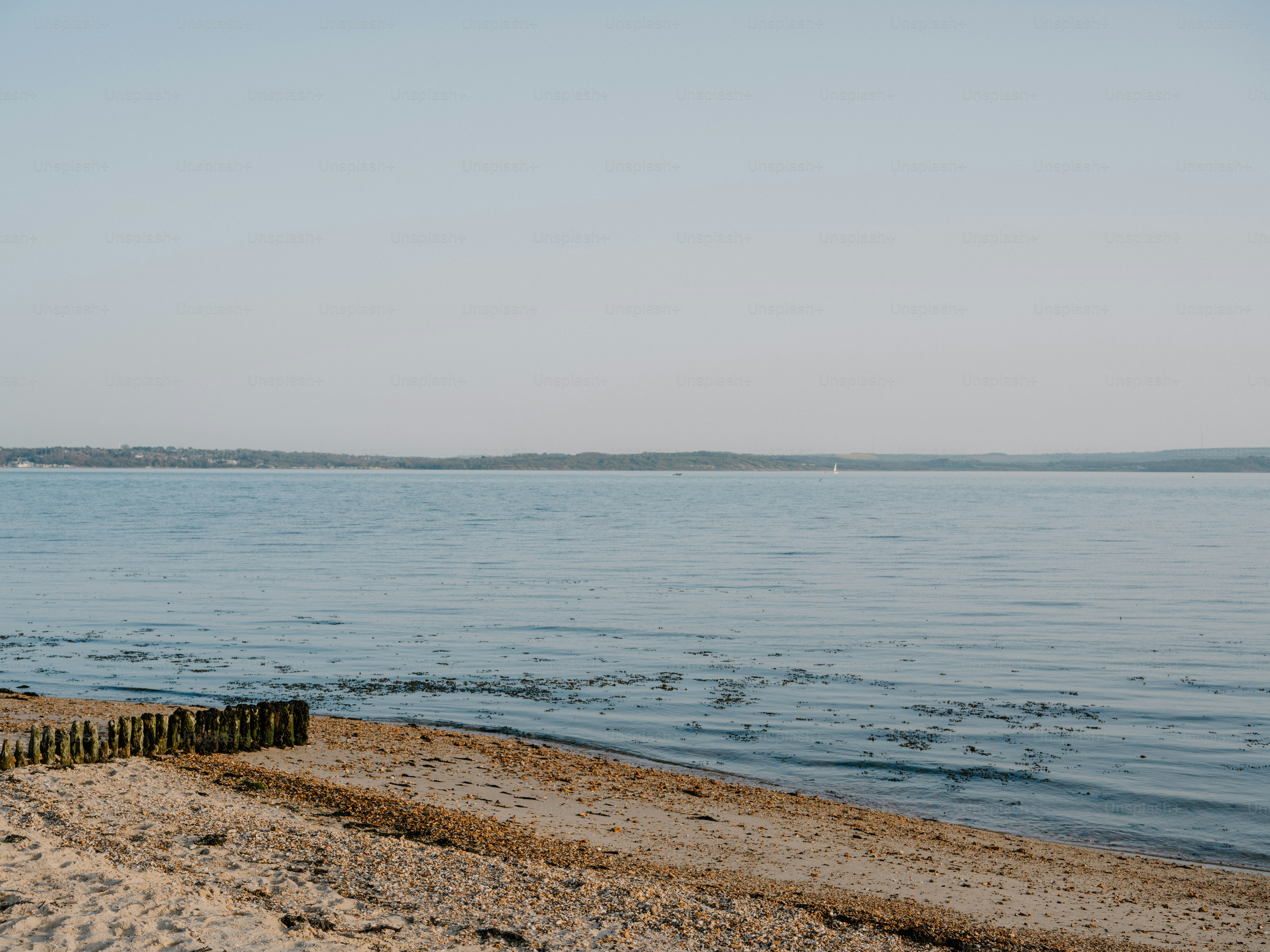 Sandy beach with wooden posts and calm blue water