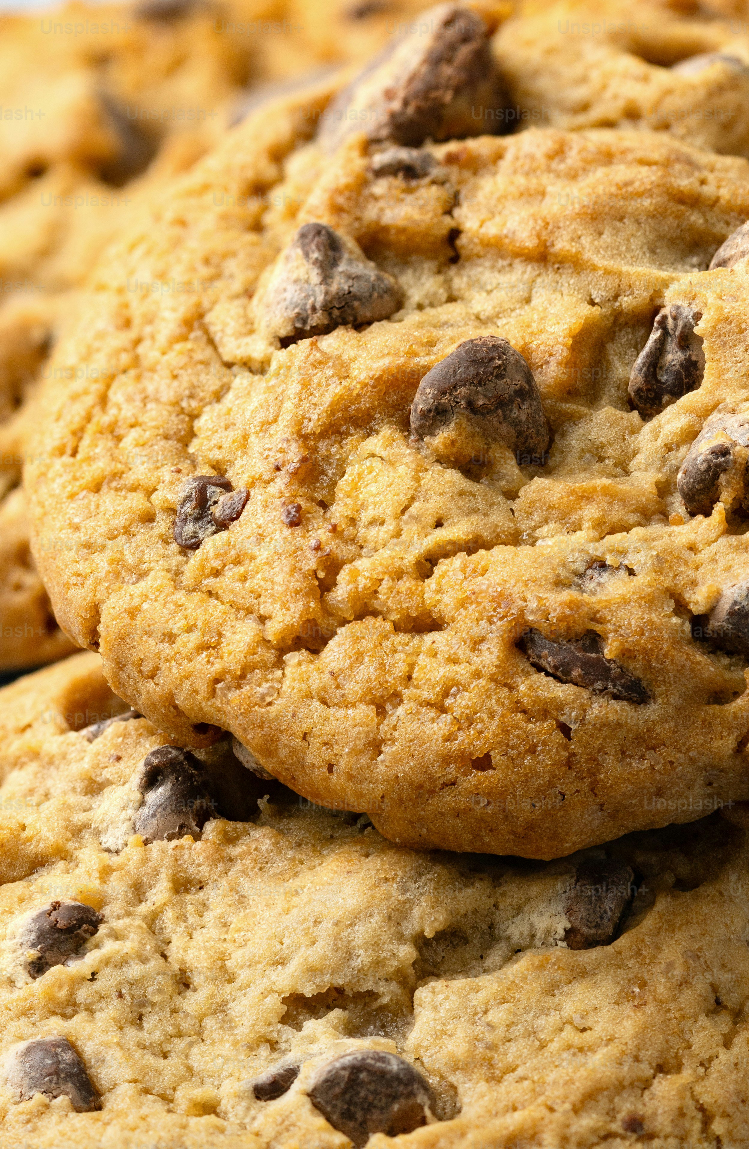 Close-up of chocolate chip cookies stacked together