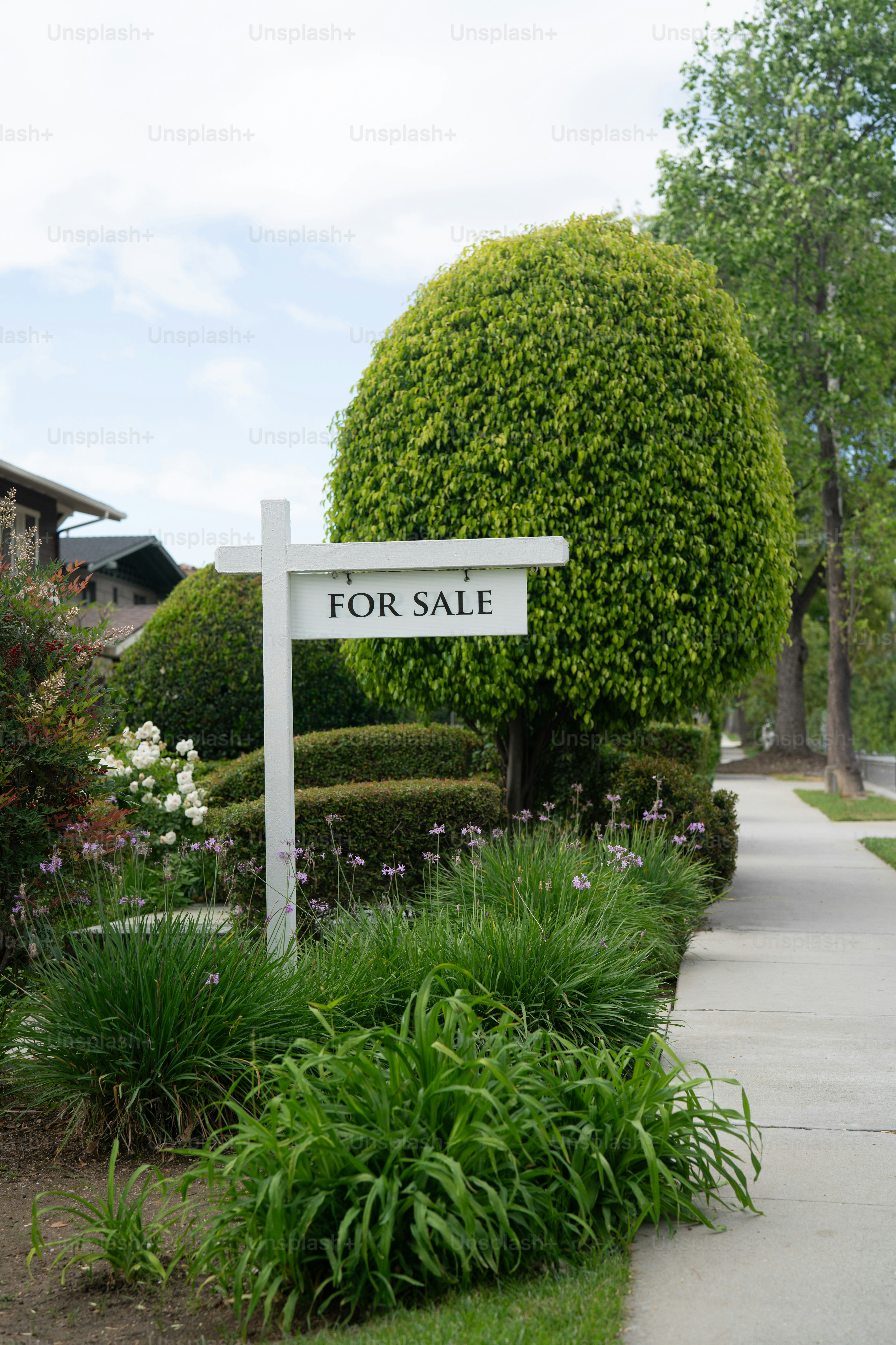A white 'for sale' sign in a garden.