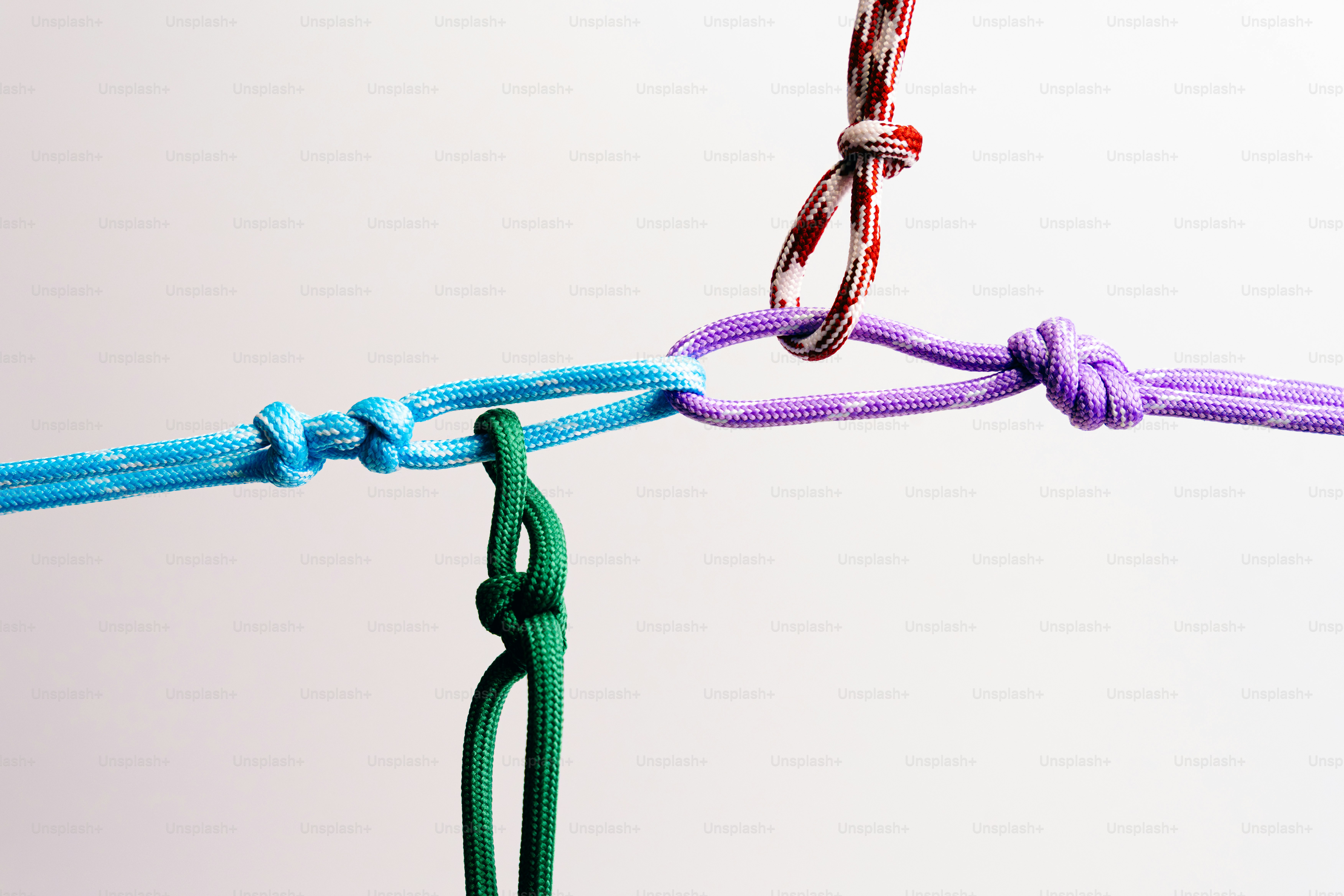 Colorful ropes tied together with knots photo – Teamwork Image on Unsplash