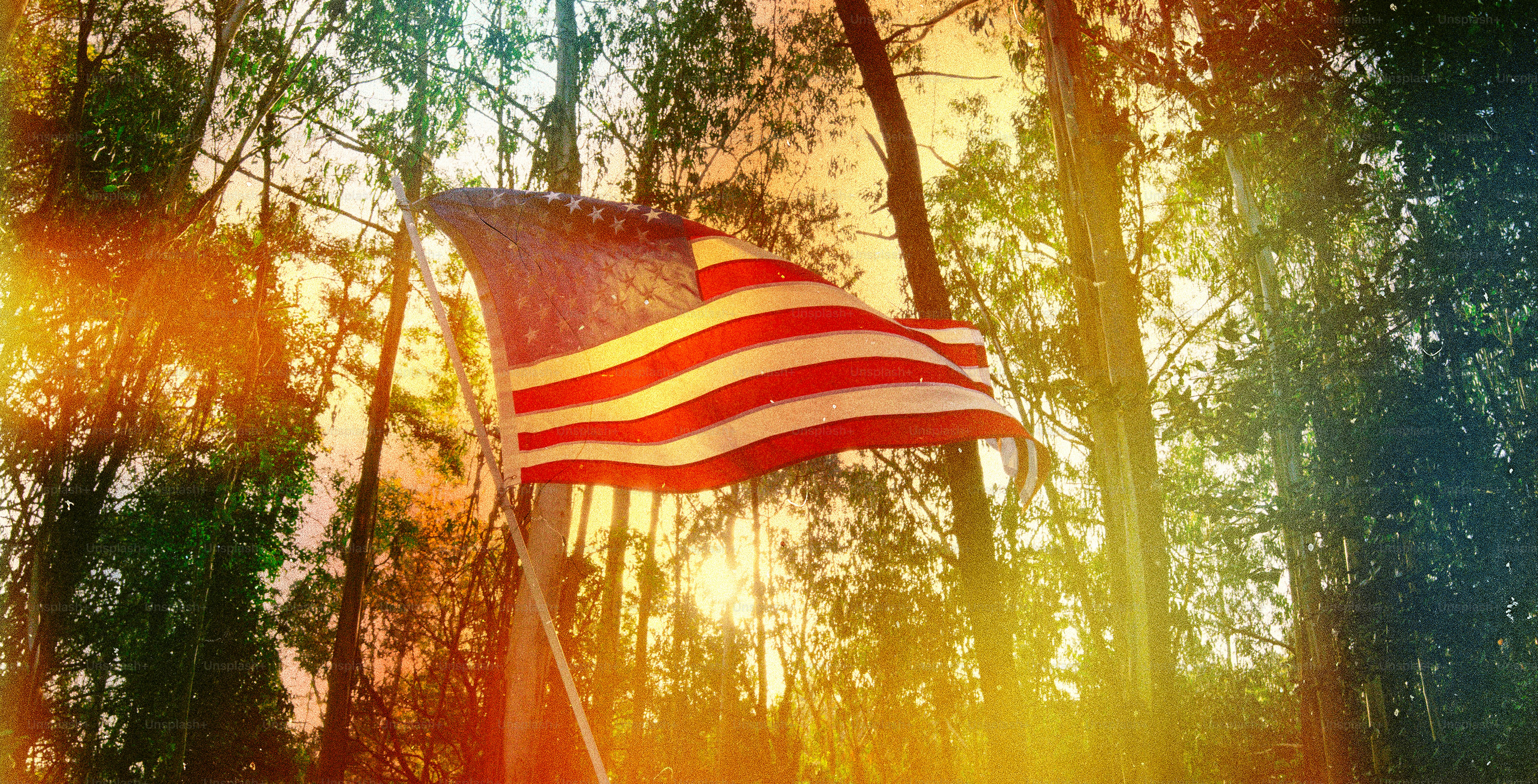 American flag waving in a sunlit forest