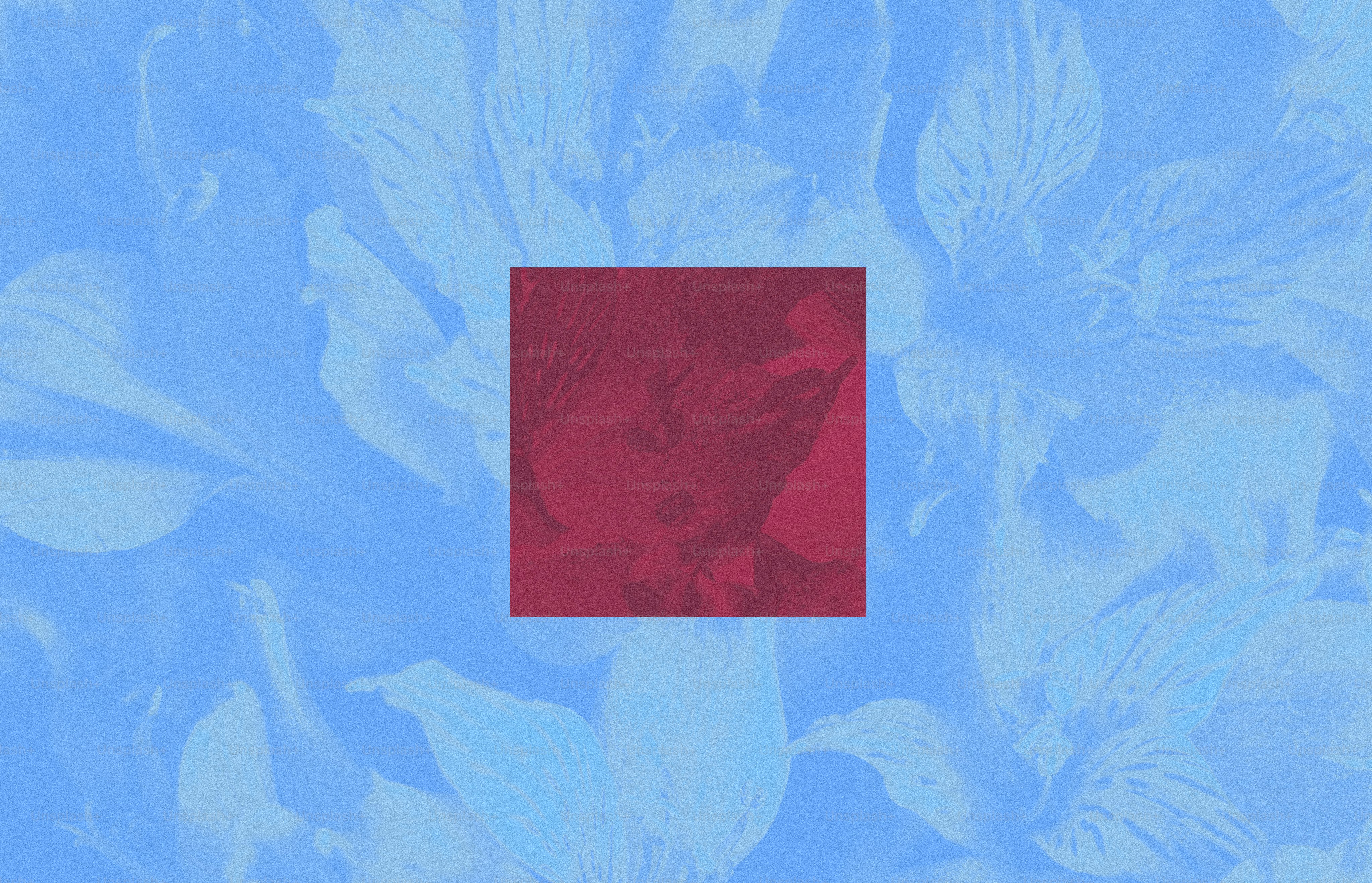 Un quadrato rosso sovrapposto a uno sfondo floreale blu