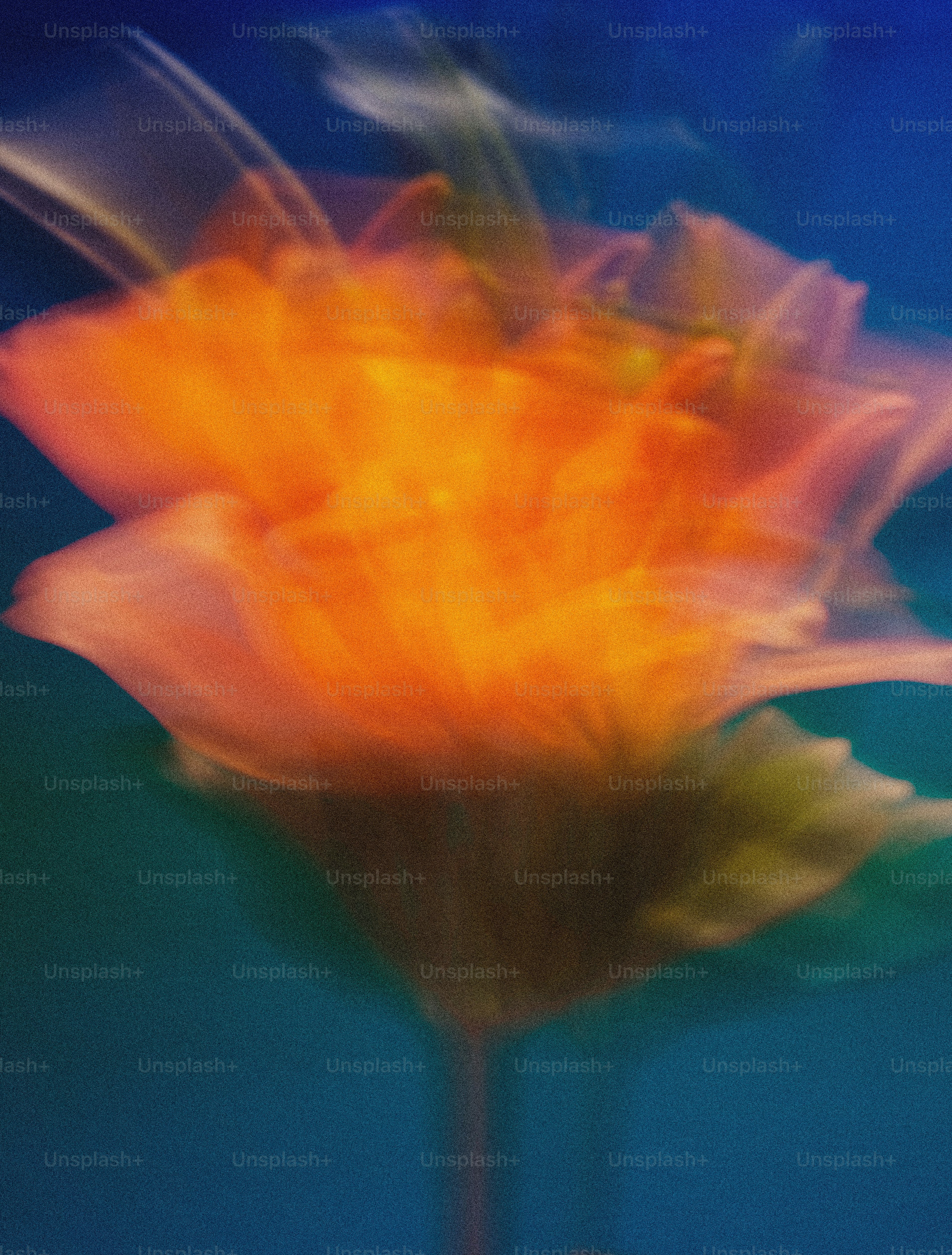 Abstract orange flower with blurred motion effect