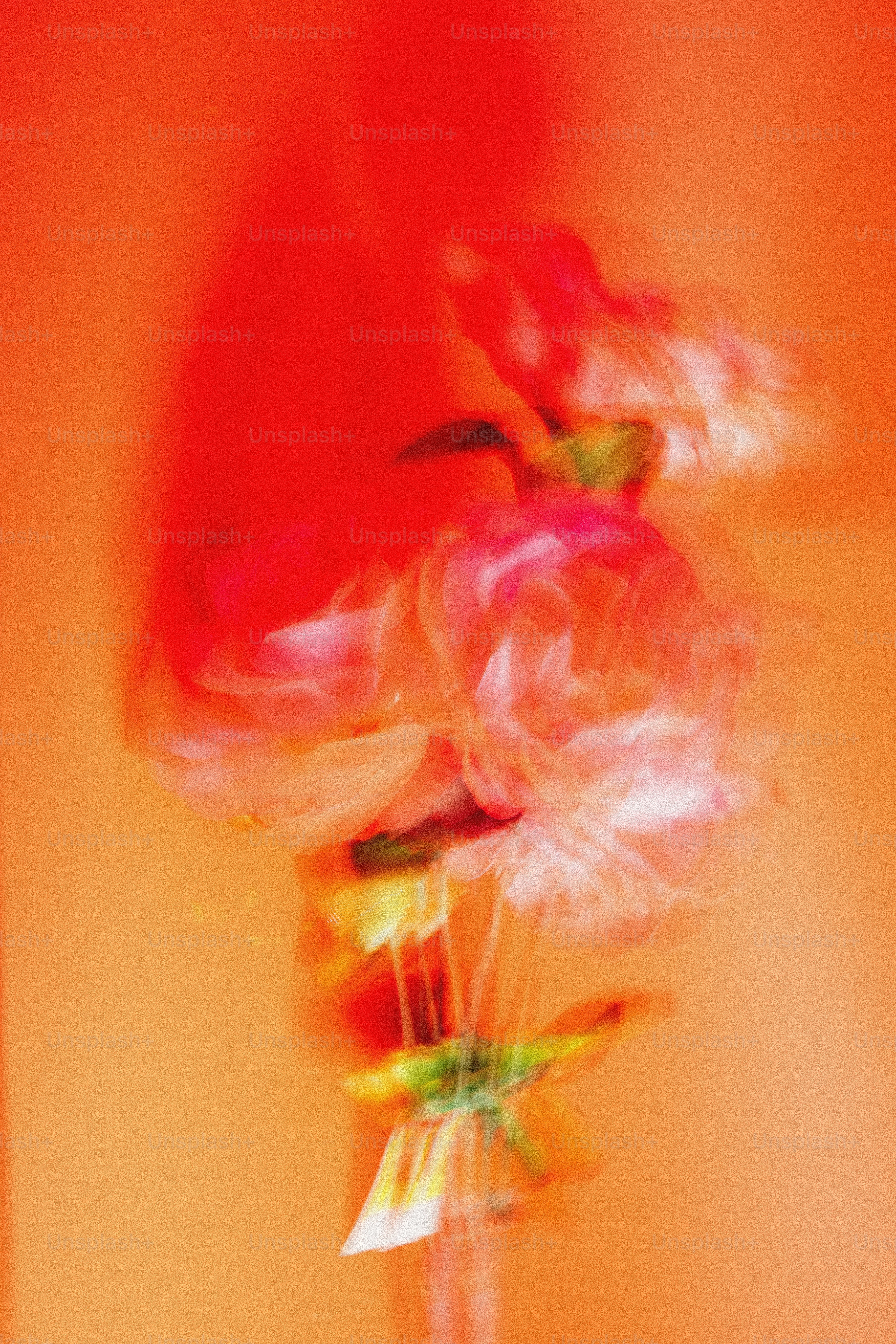 Verschwommene rosa und weiße Blumen vor orangefarbenem Hintergrund