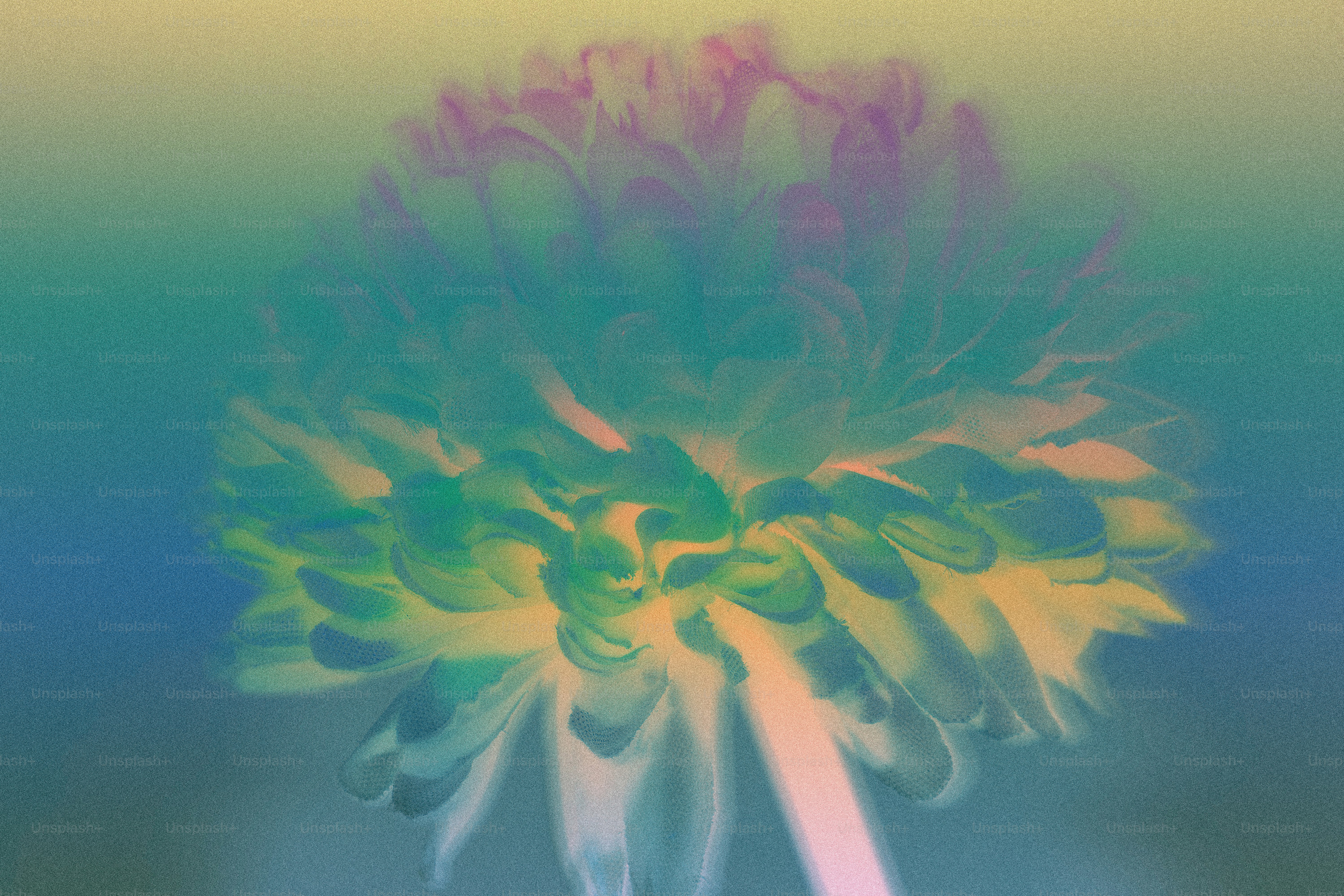 Abstrakte Blume mit farbenfrohem Verlaufshintergrund