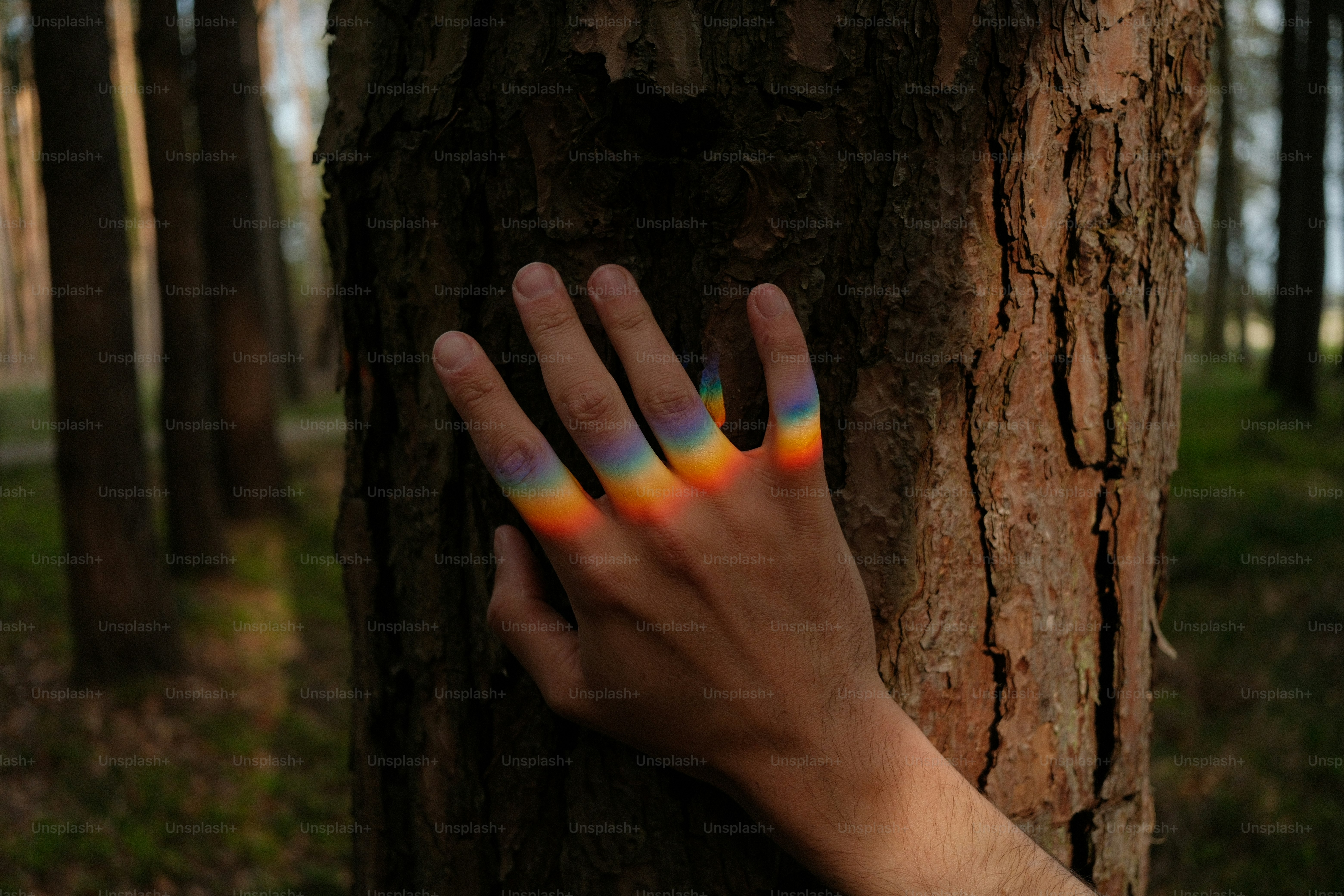 Hand with rainbow colors painted on fingers touching tree