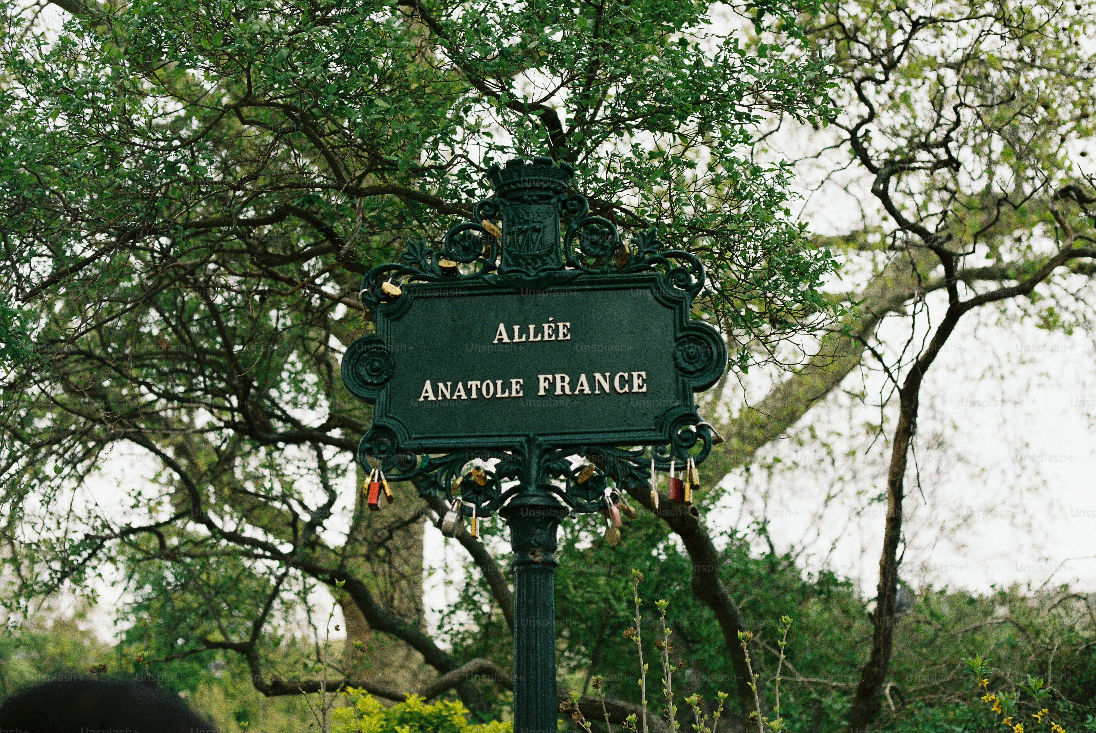 Street sign for allée anatole france in greenery