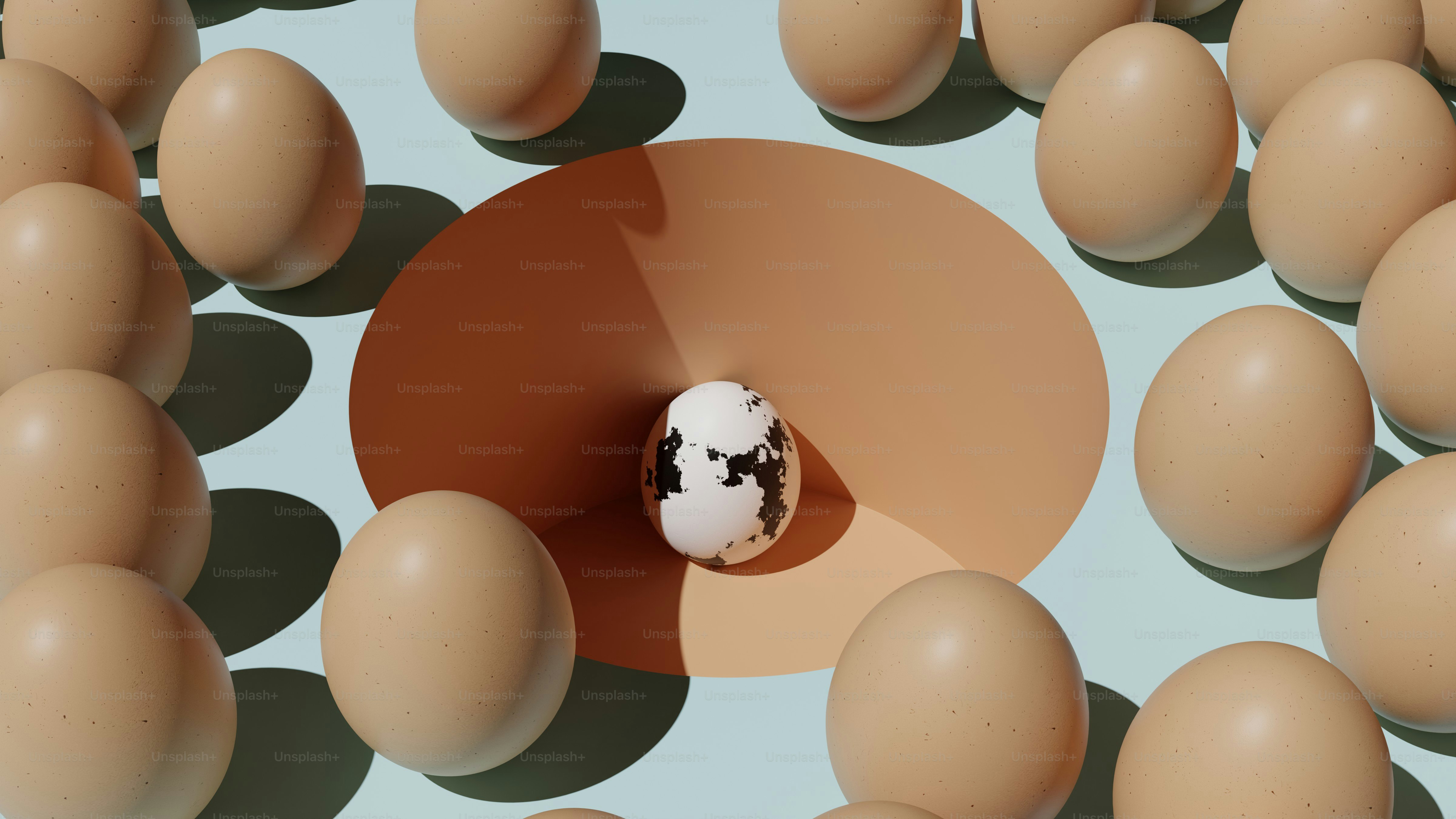 Un œuf tacheté entouré d’œufs simples