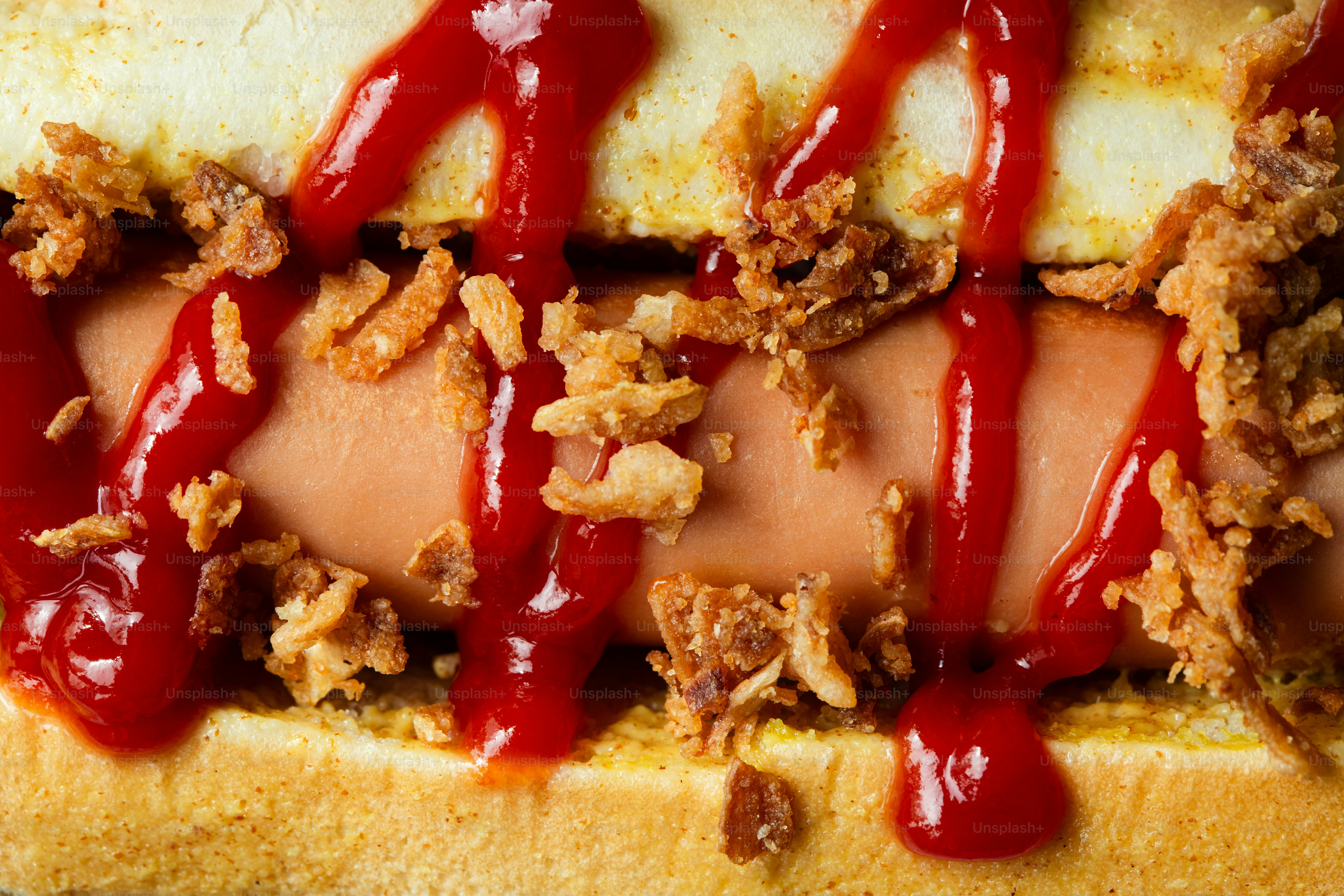 Hot dog with ketchup and crispy onions