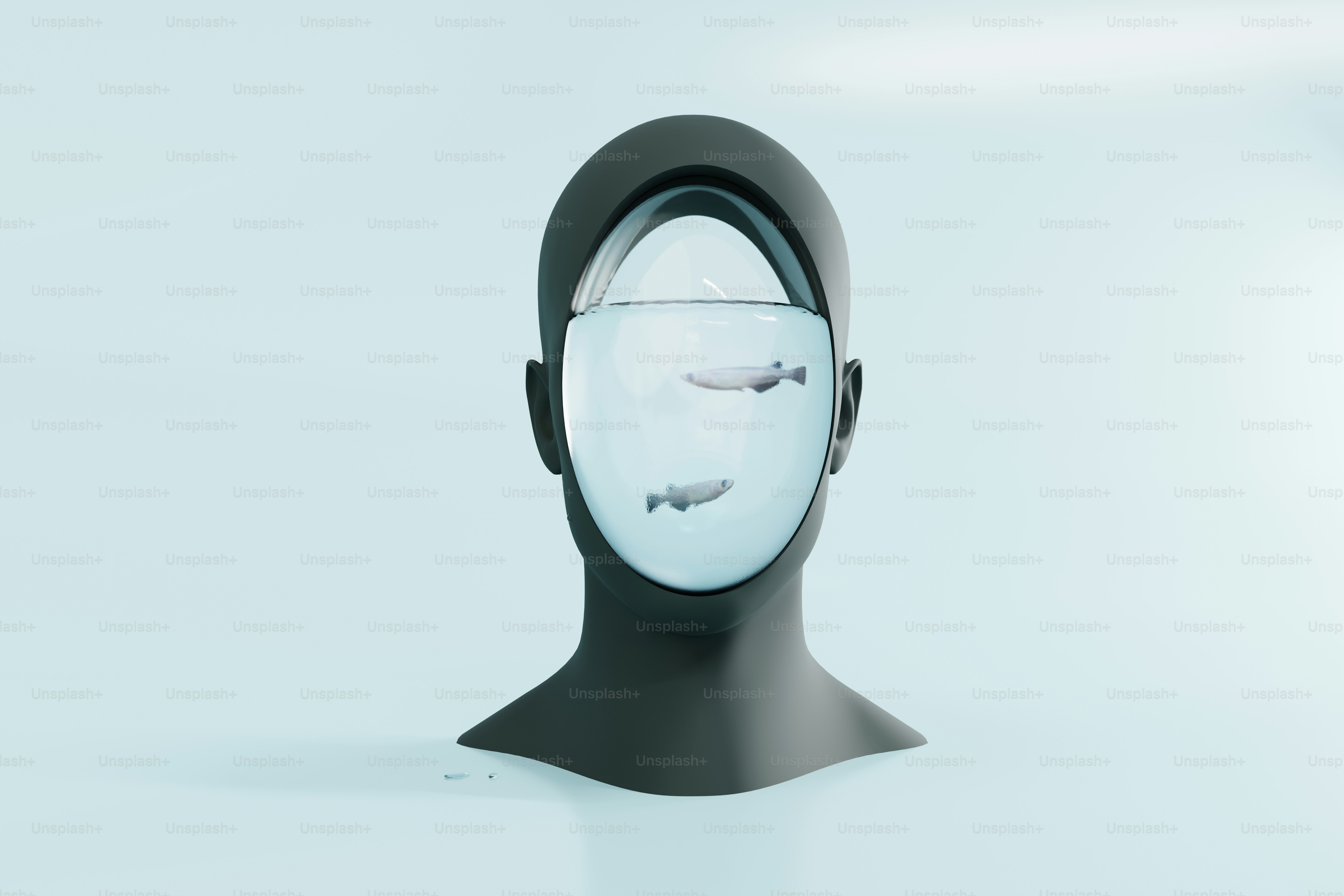 Due pesci nuotano all'interno di un acquario a forma di testa umana.