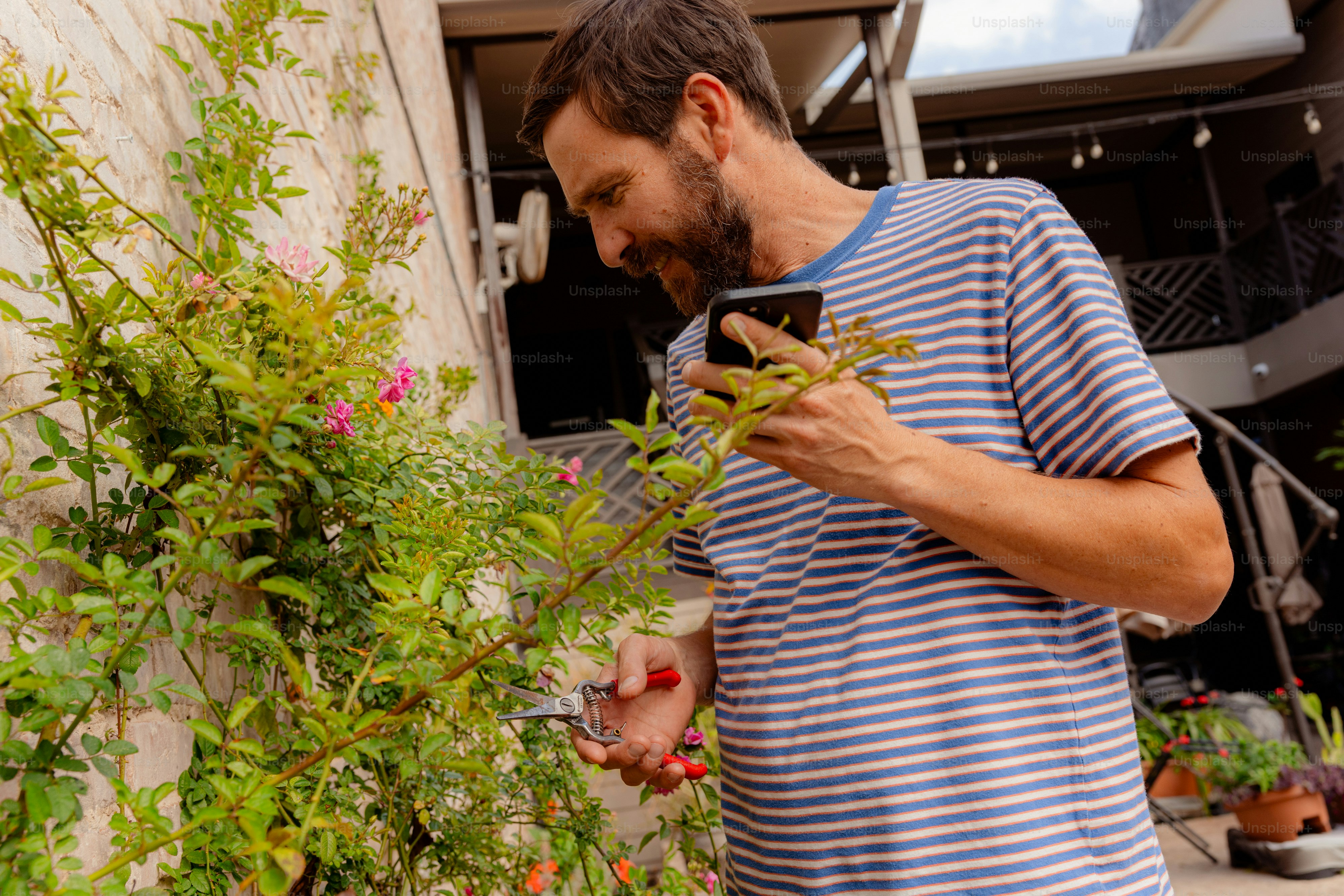 Hombre examinando una planta con flores con un teléfono