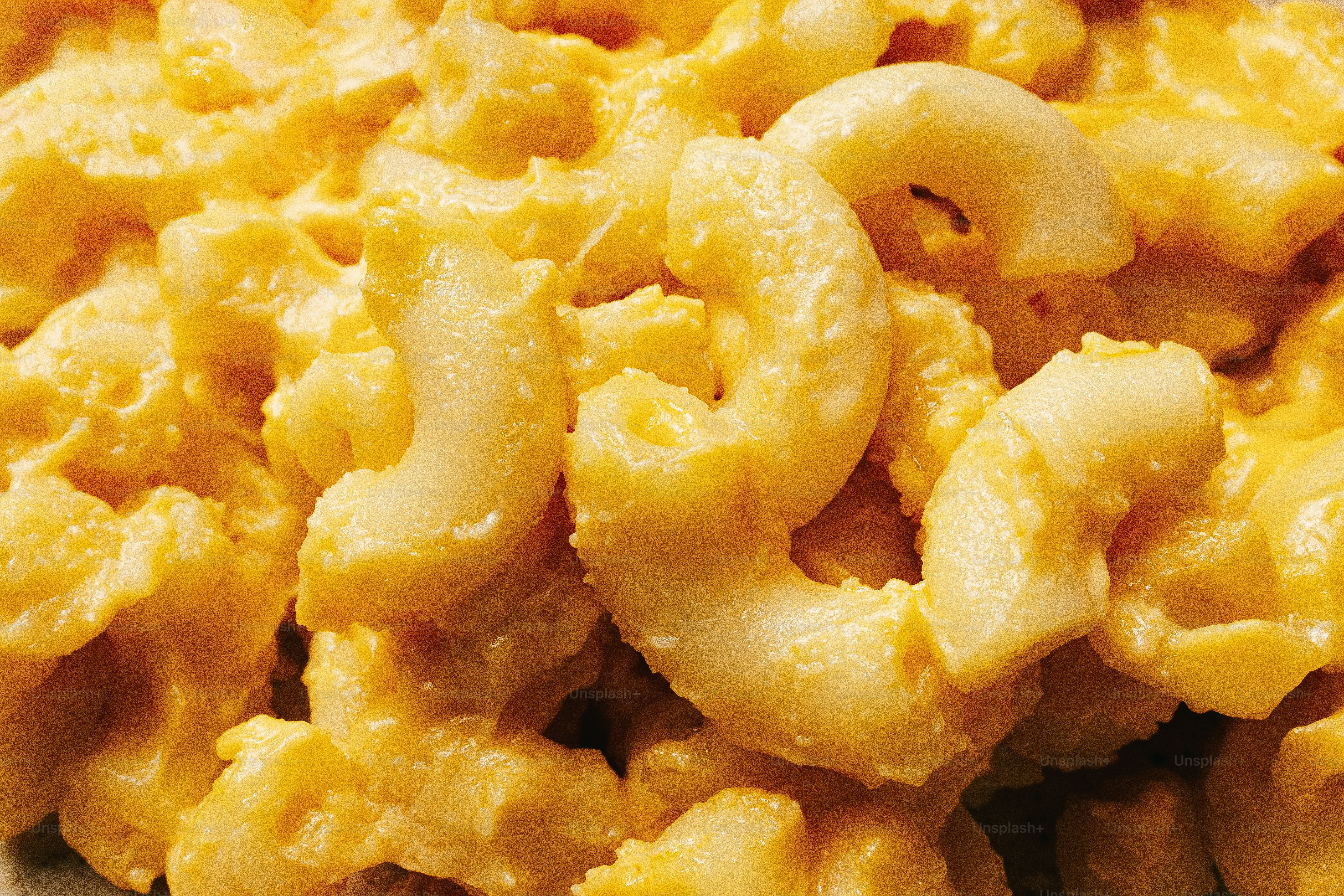 Un gros plan de macaronis au fromage crémeux