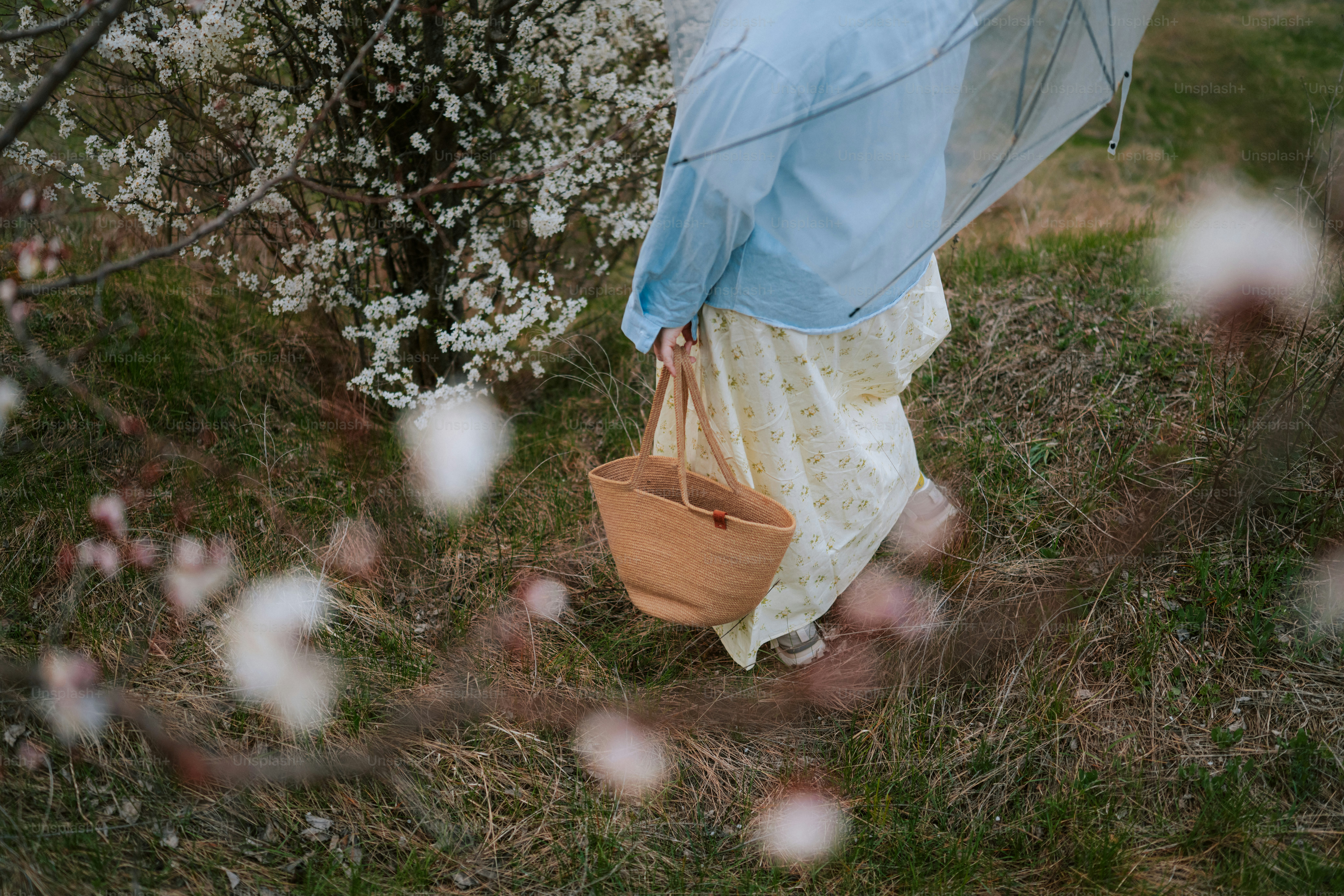 Woman in traditional dress with basket walks through blooming orchard
