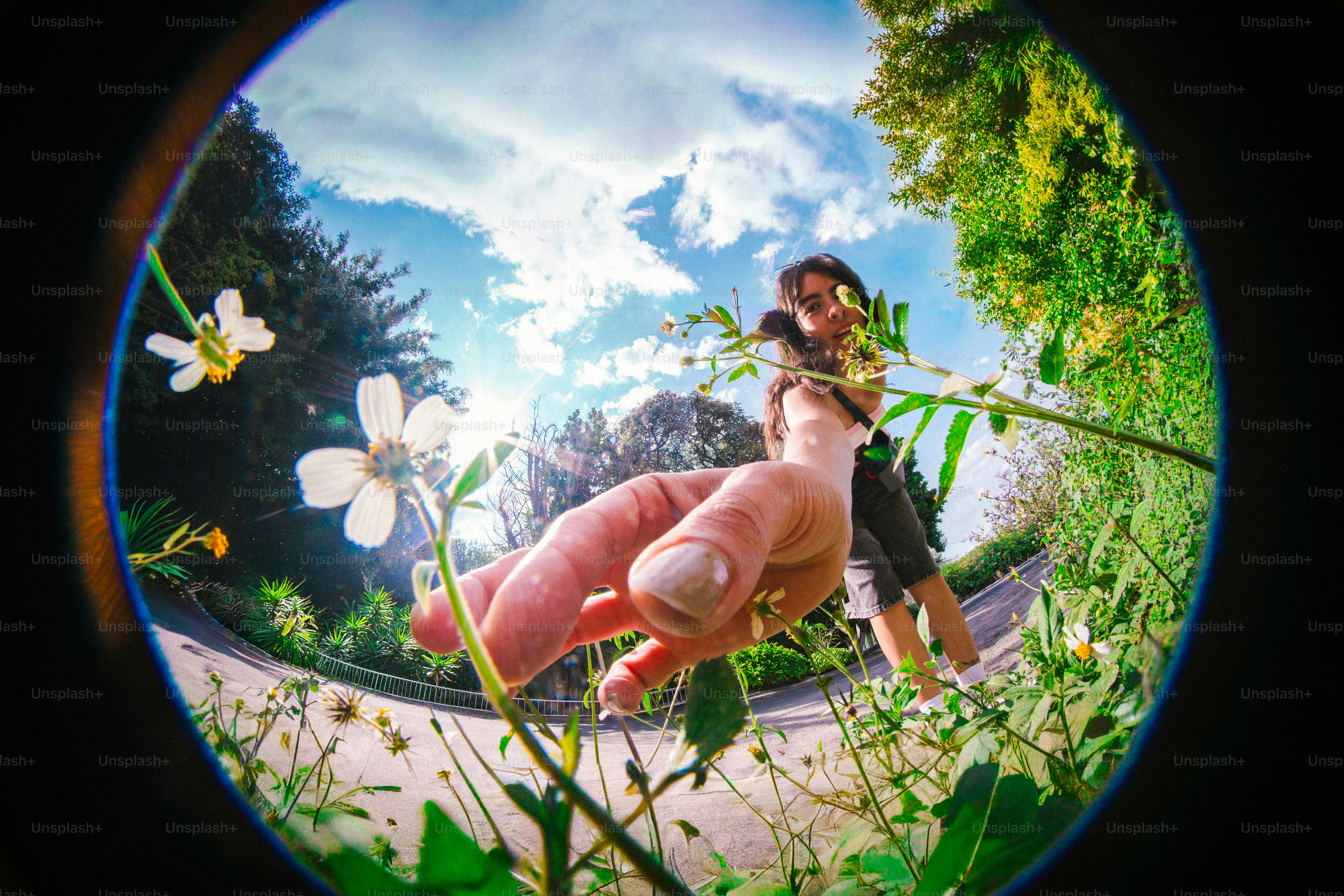Uma mão alcança uma flor no jardim.