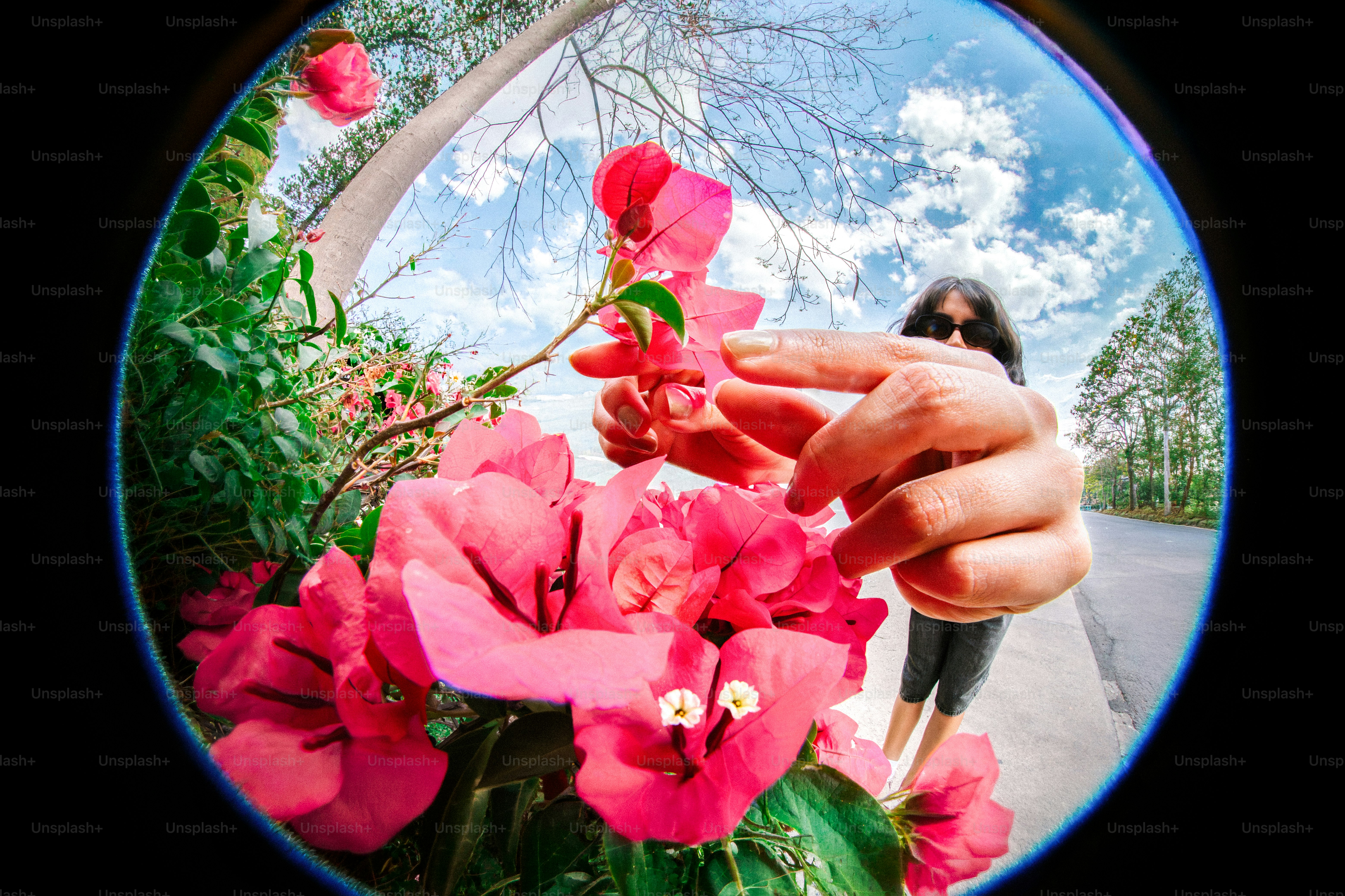 Mão estendida em direção a flores rosa brilhante com céu azul.