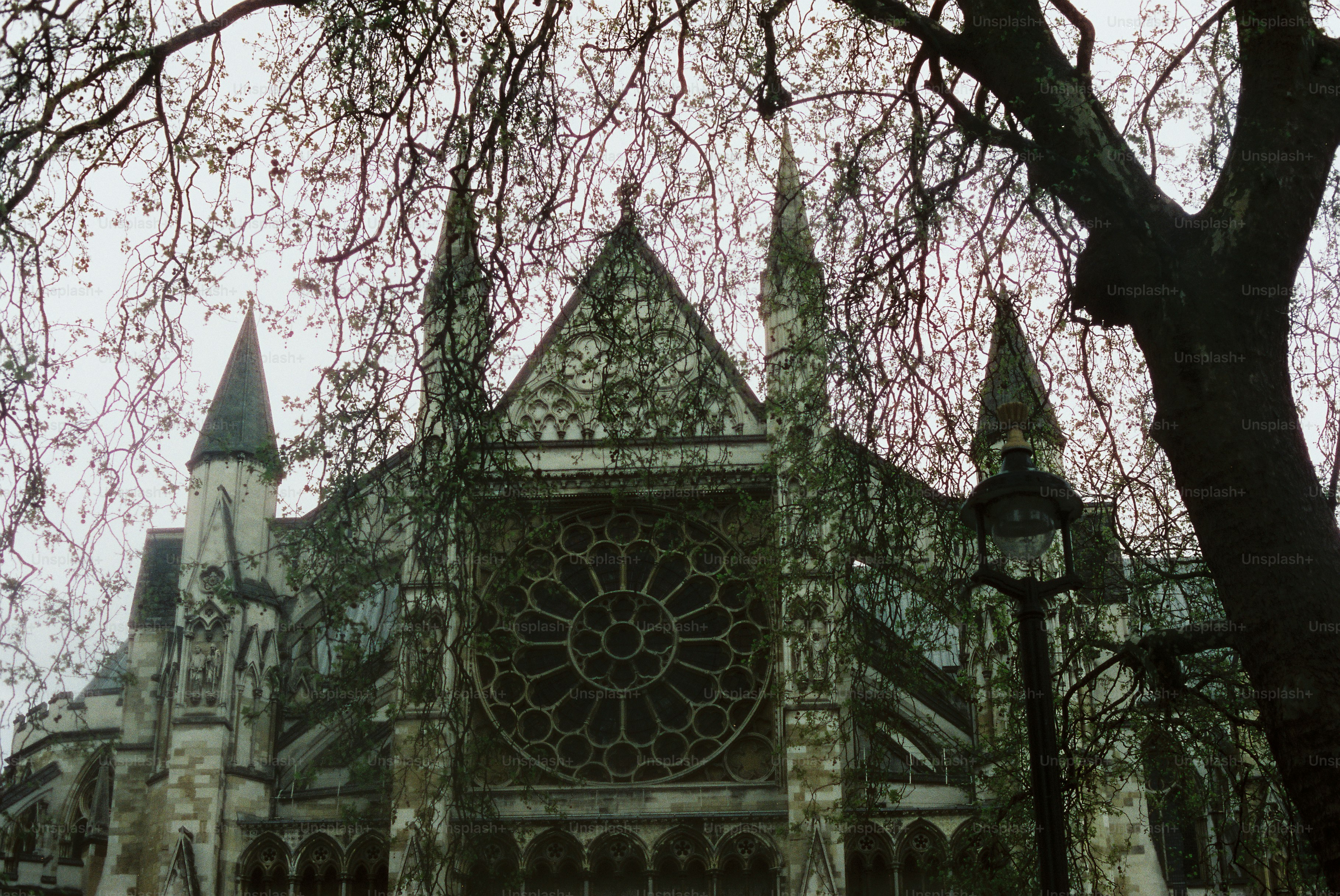 Catedral gótica con un gran rosetón