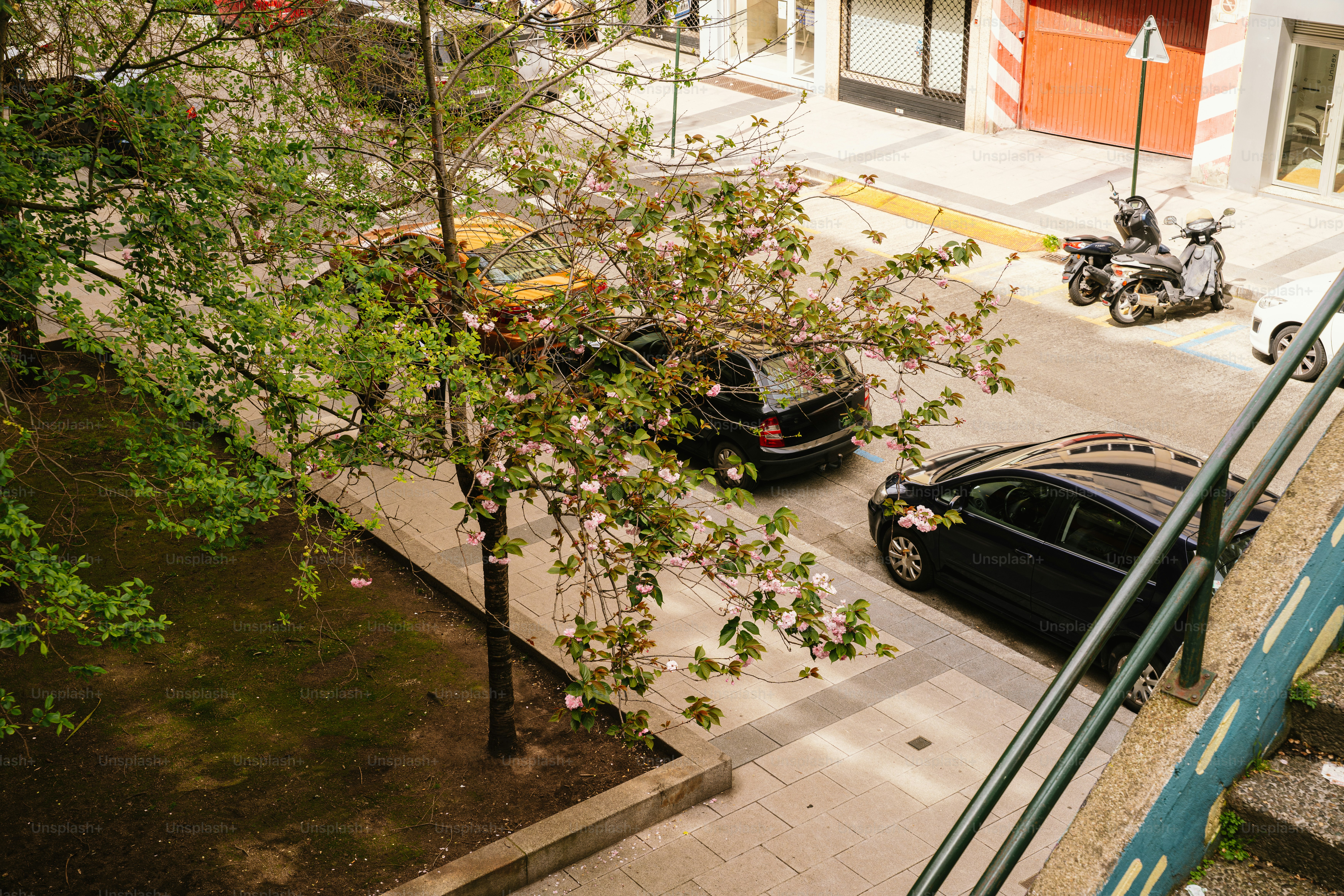 Autos parkten auf einer Straße neben Bäumen.