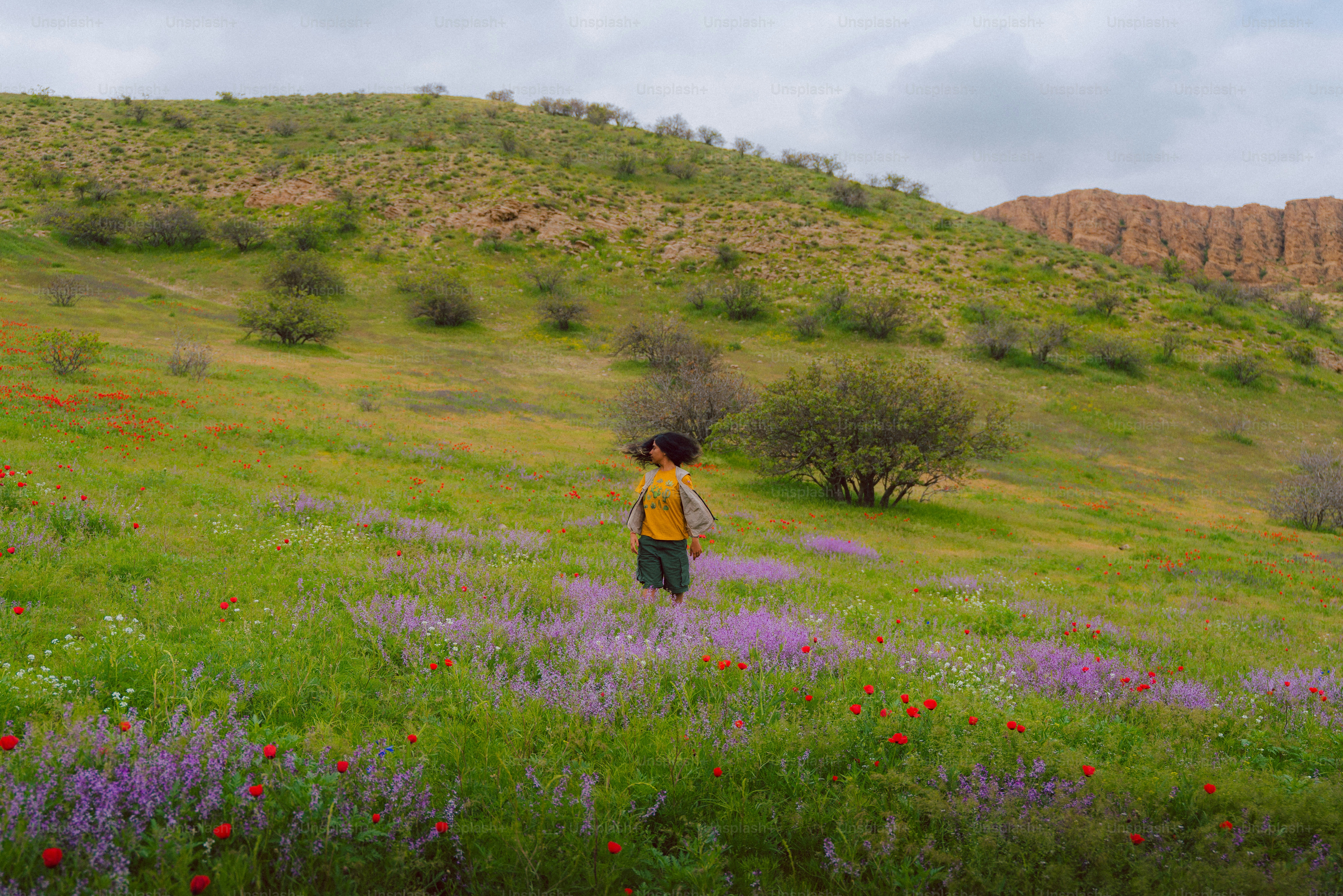 Uma pessoa está em um campo de flores silvestres.