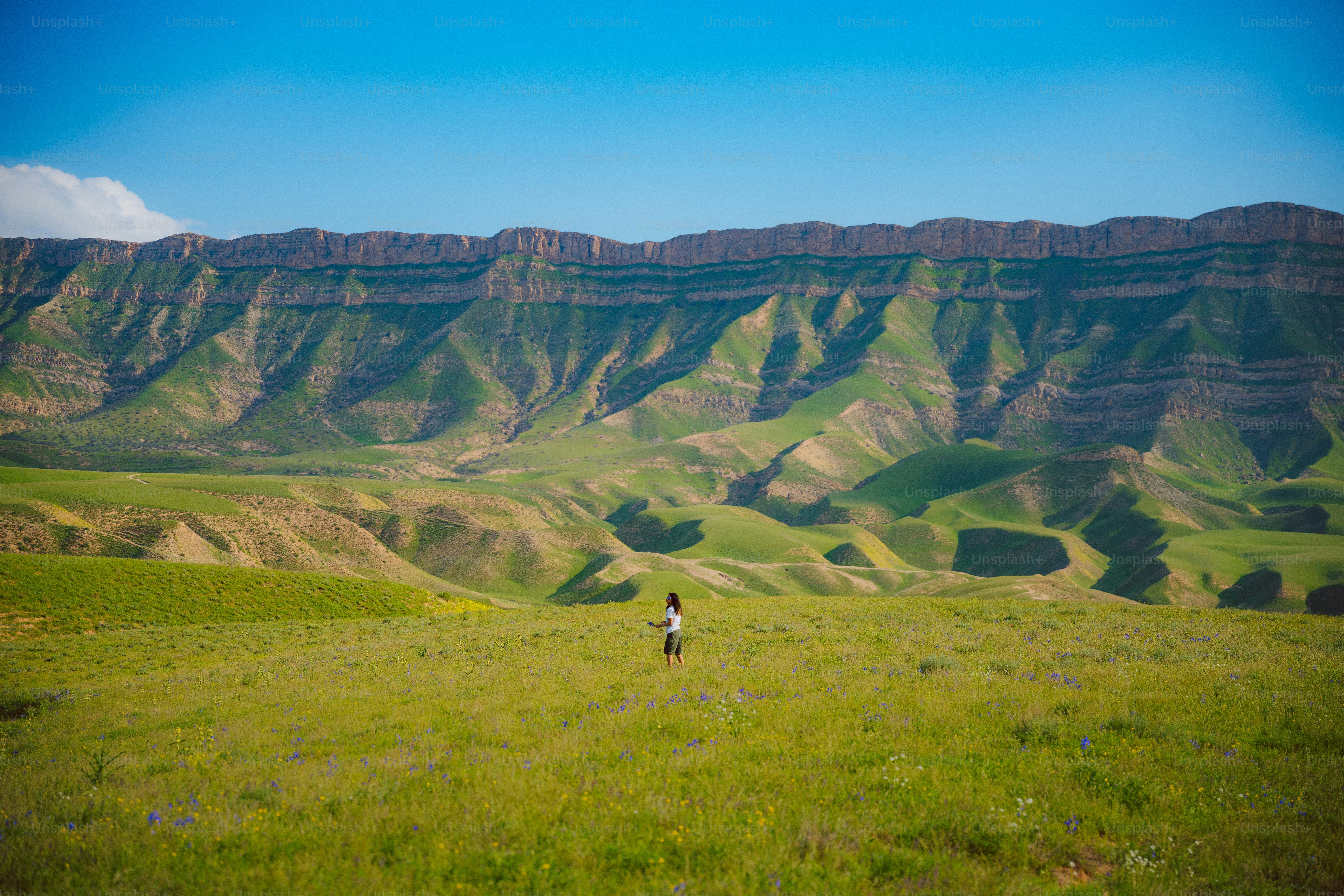 Uma pessoa está em uma vasta paisagem verde com montanhas.