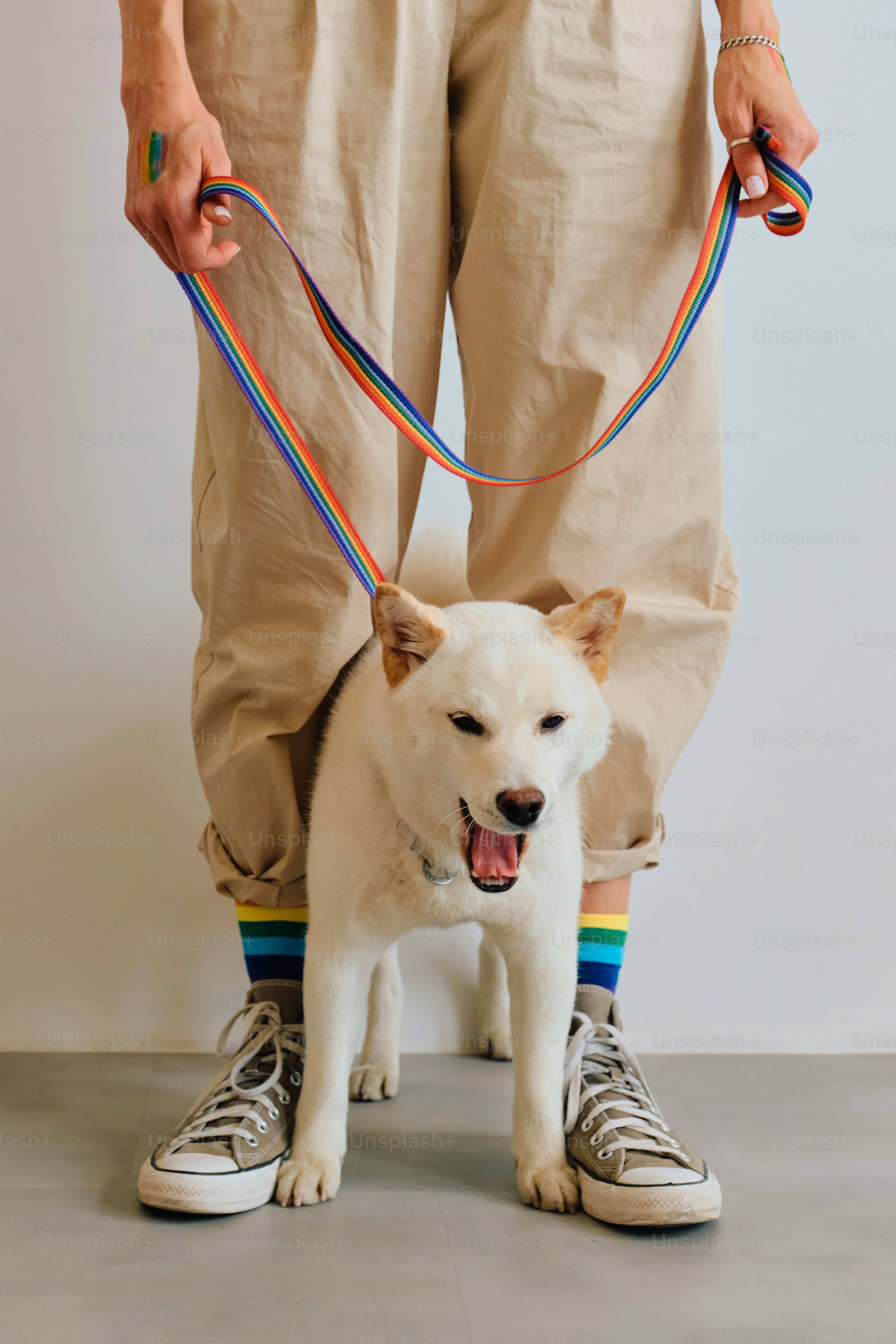 A person holding a rainbow leash for a dog