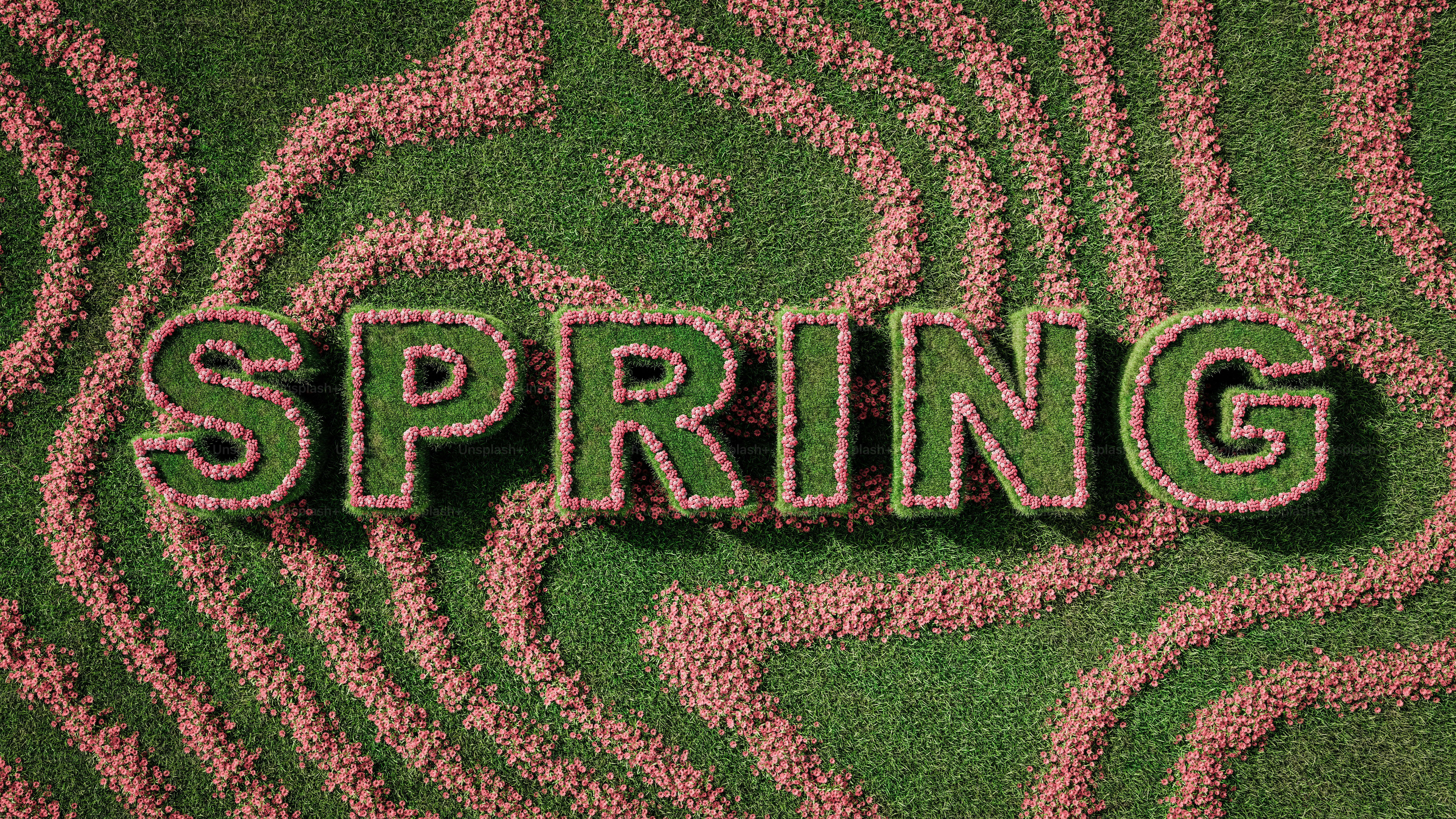 The word spring made of grass on a pink background photo – Flowers ...