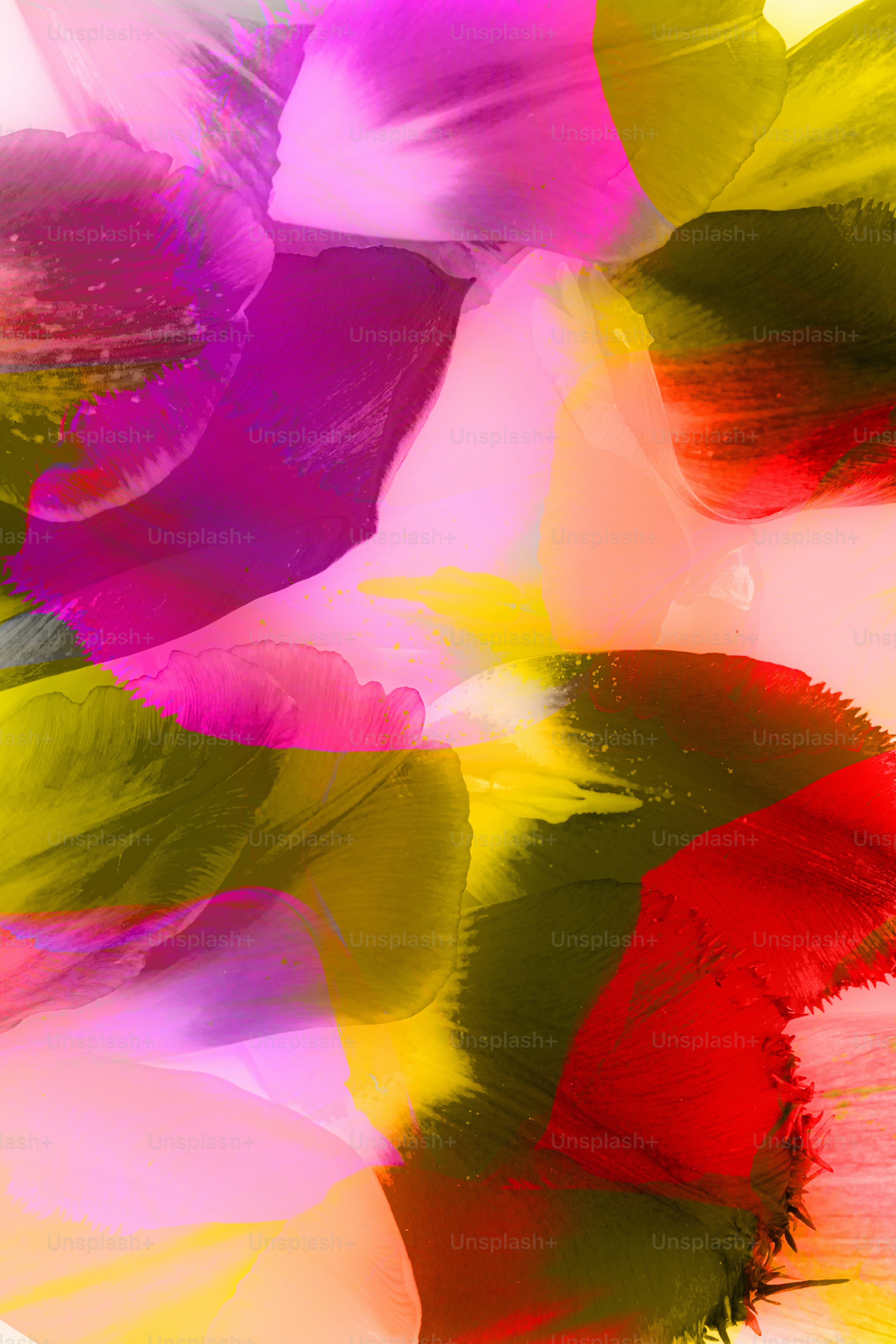 Abstract colorful floral petals overlapping with vibrant hues