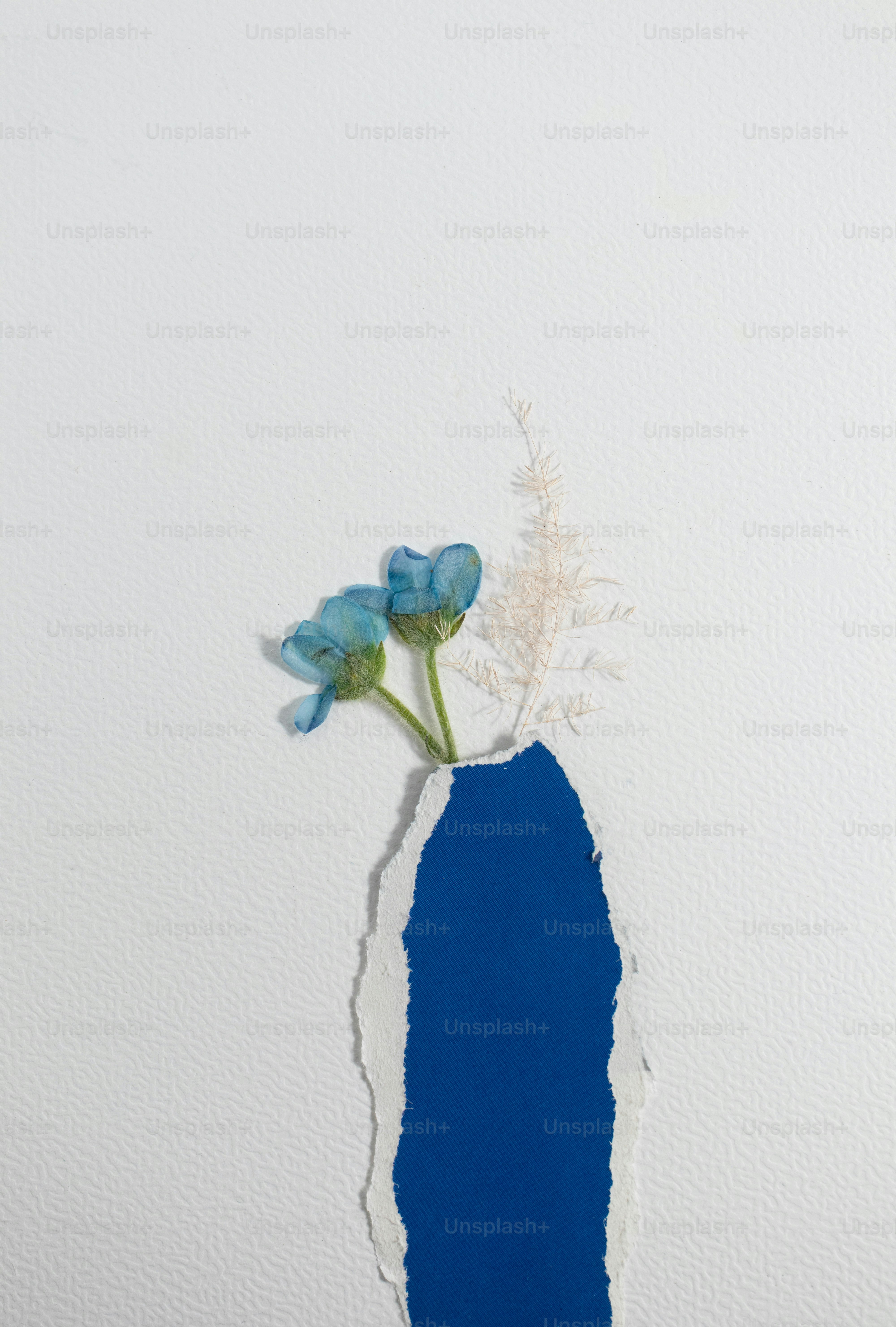 Two delicate blue flowers in a torn blue vase.