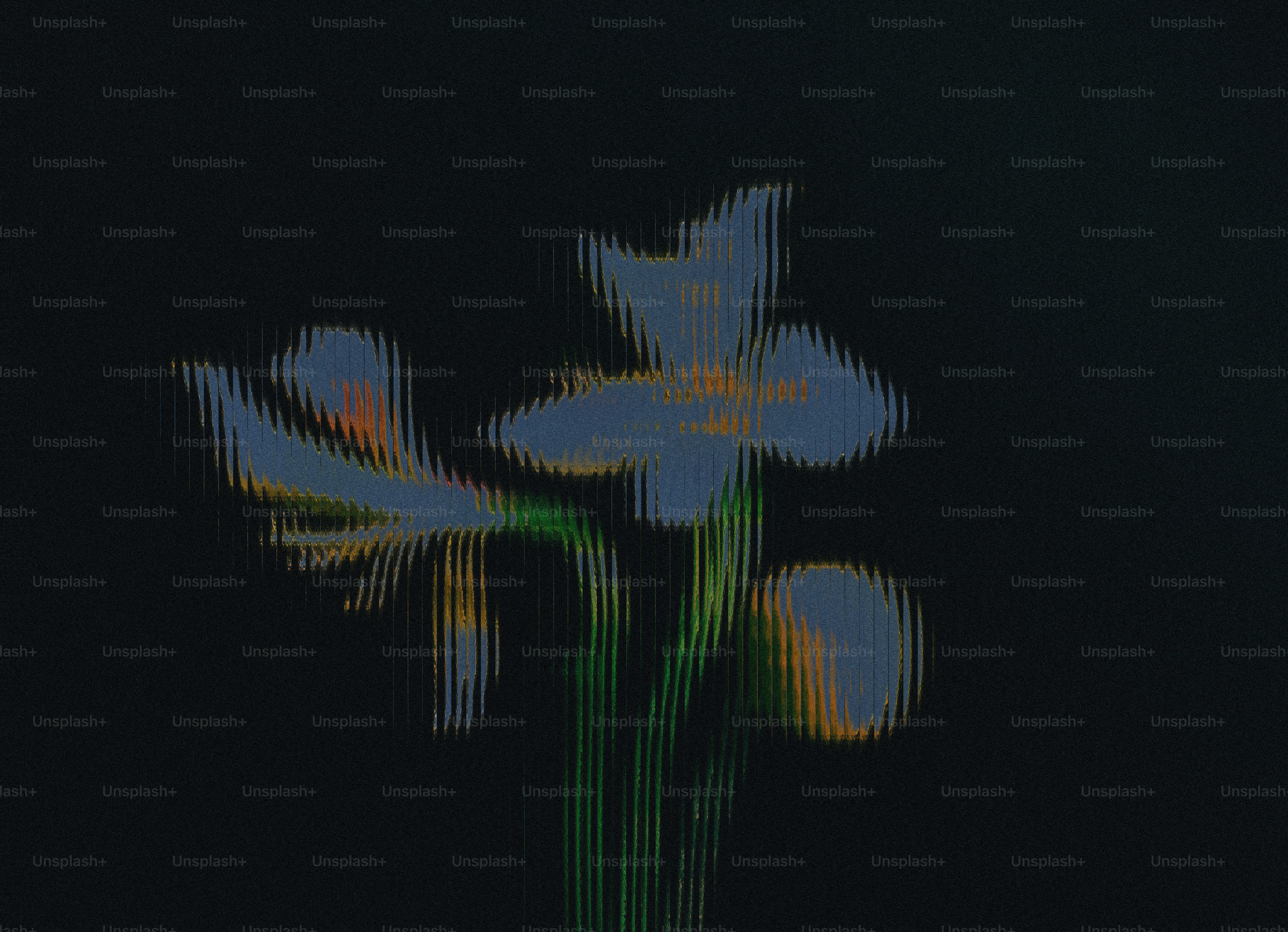 Three light blue flowers with green stems on dark background