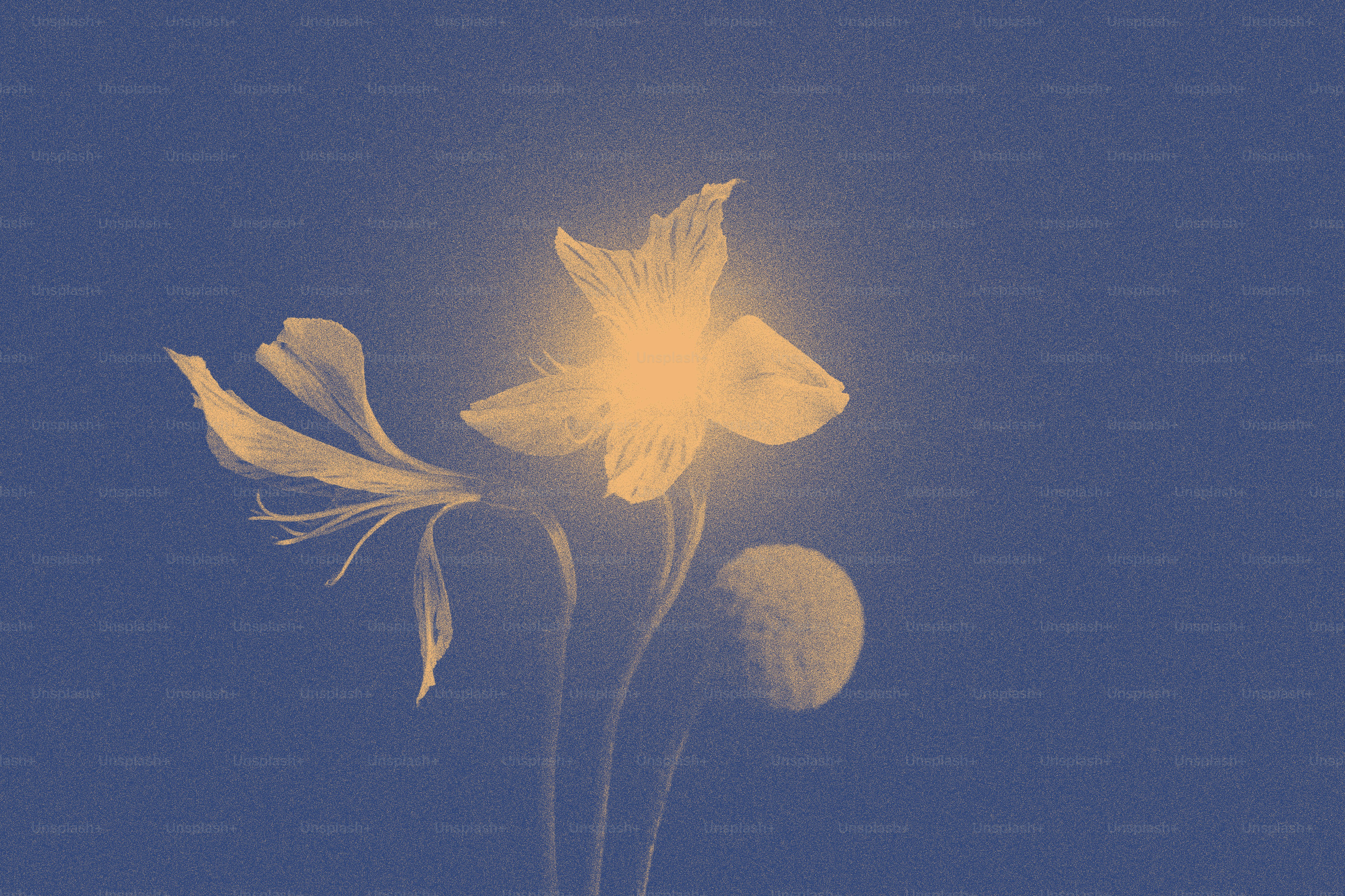 Leuchtende Blumen vor einem dunkelblauen Hintergrund
