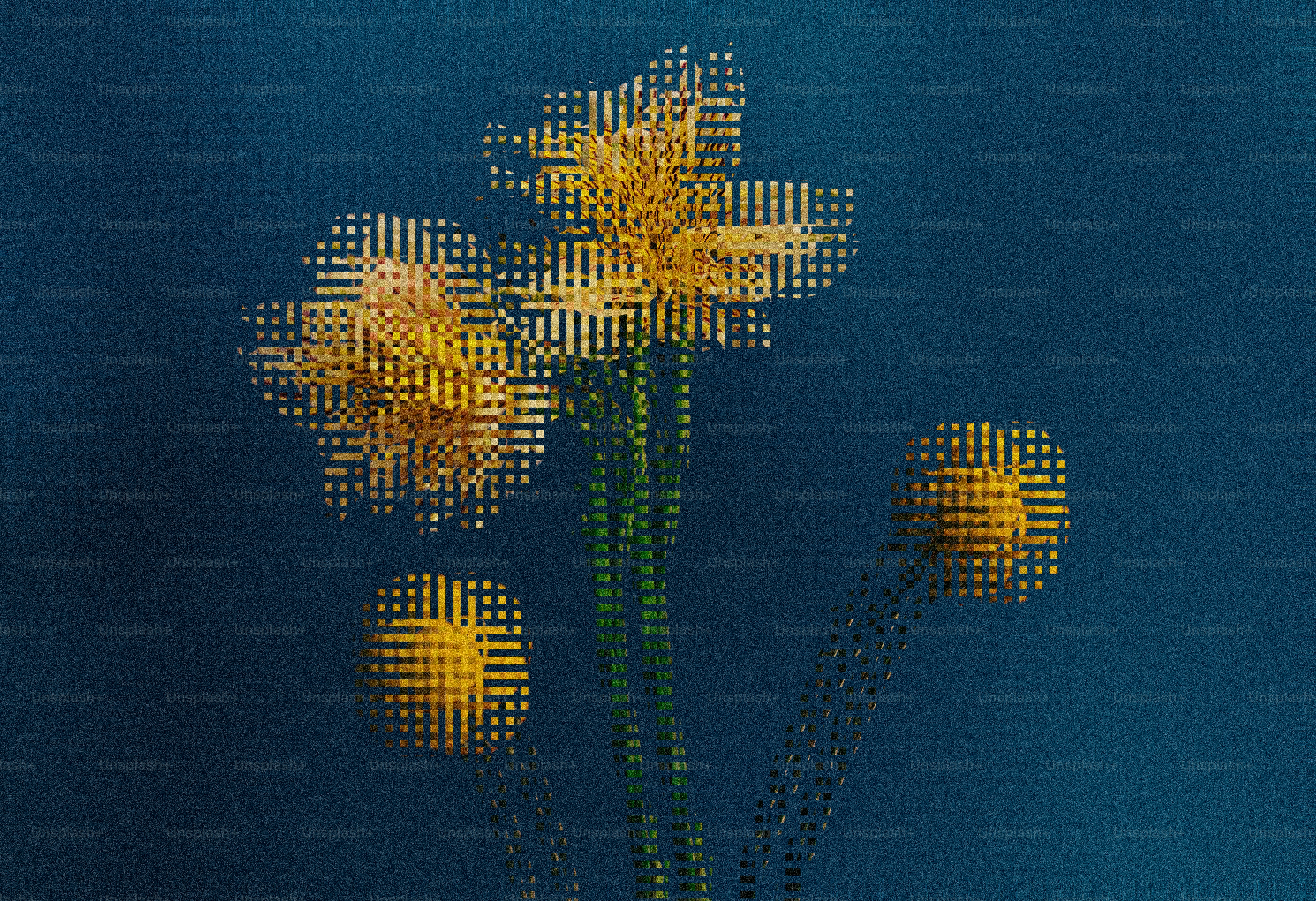 Trois fleurs jaunes sur fond bleu