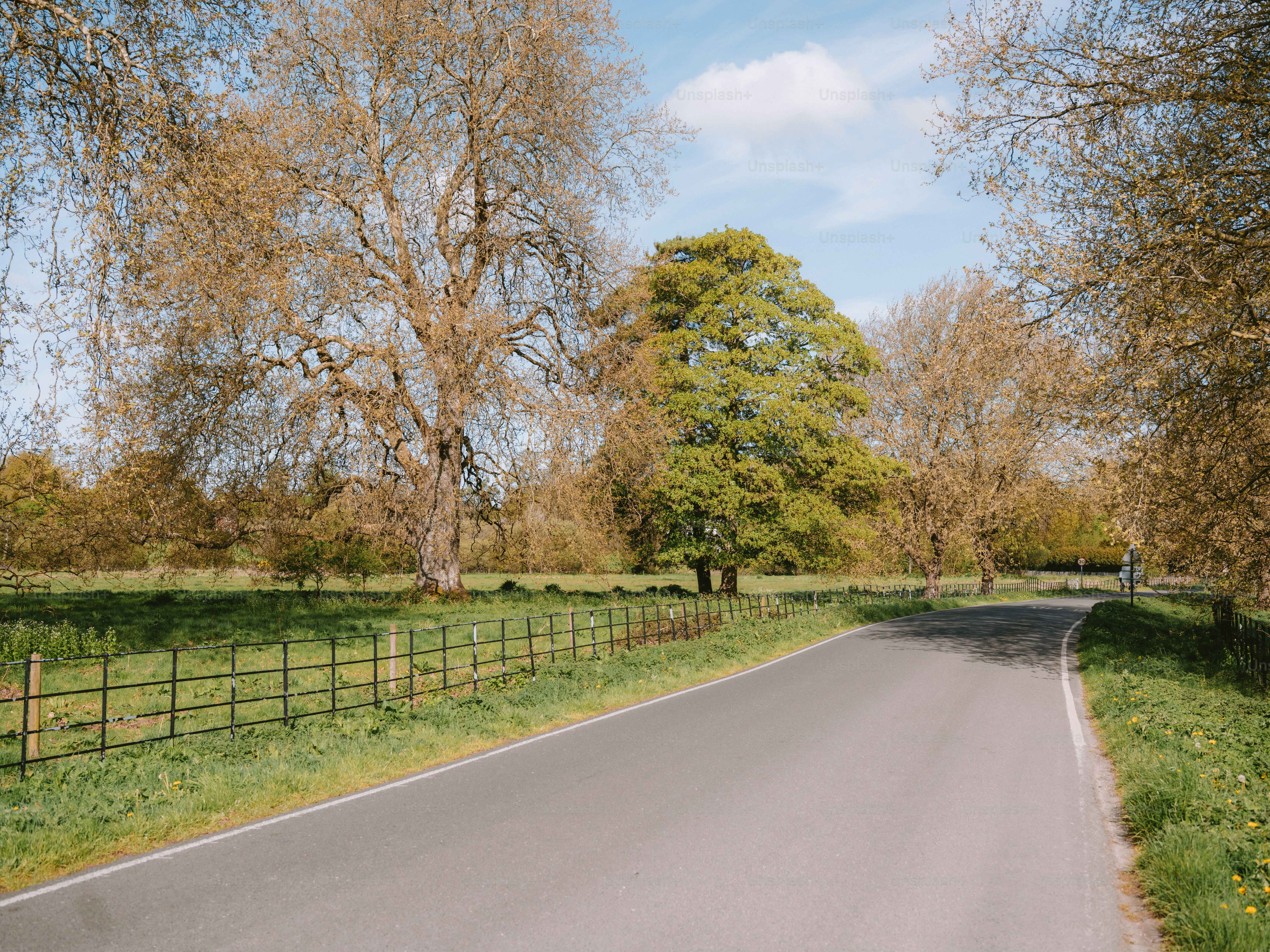 A paved road curves through a grassy field with trees.