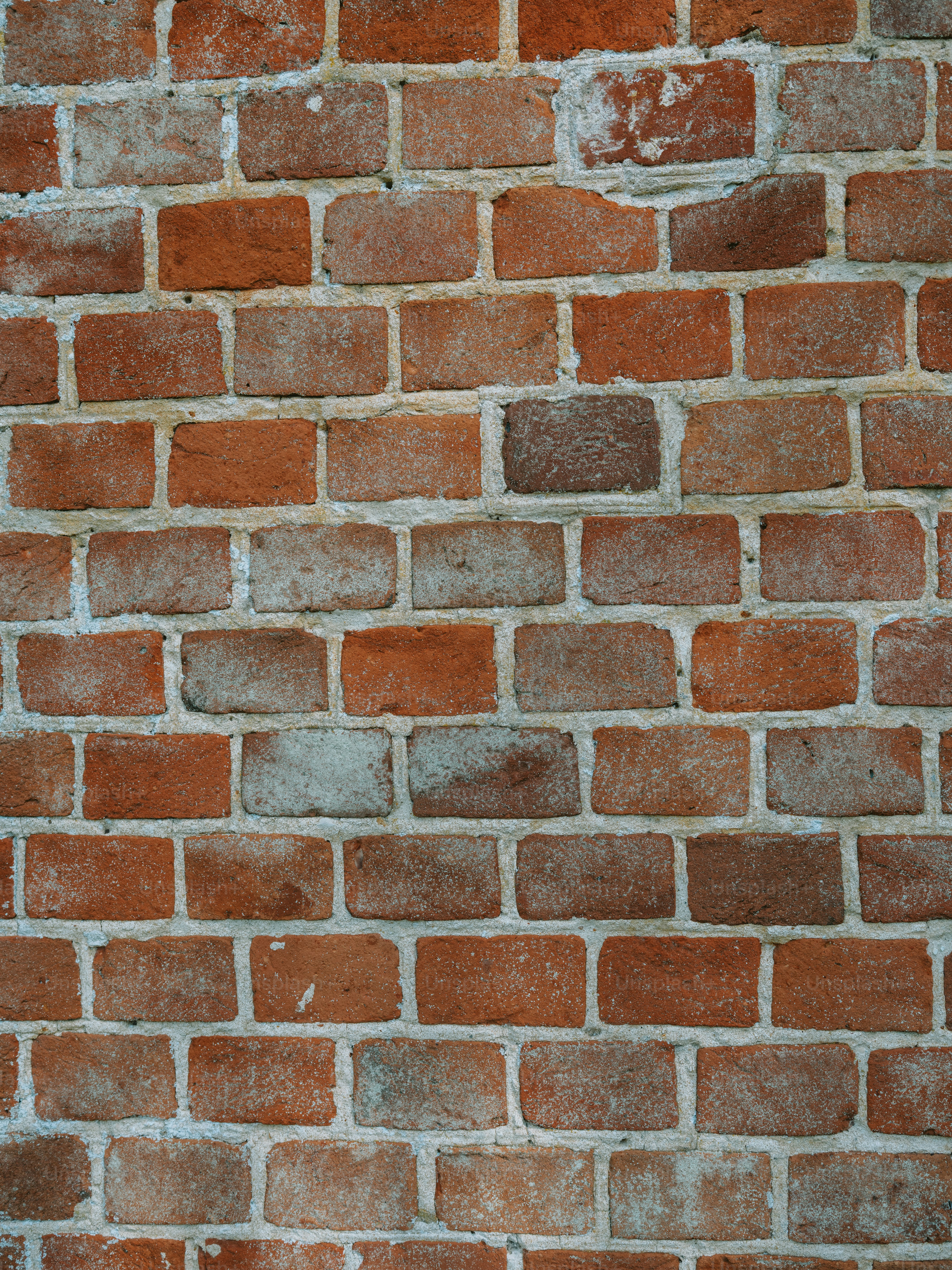 A textured wall of red and grey bricks.