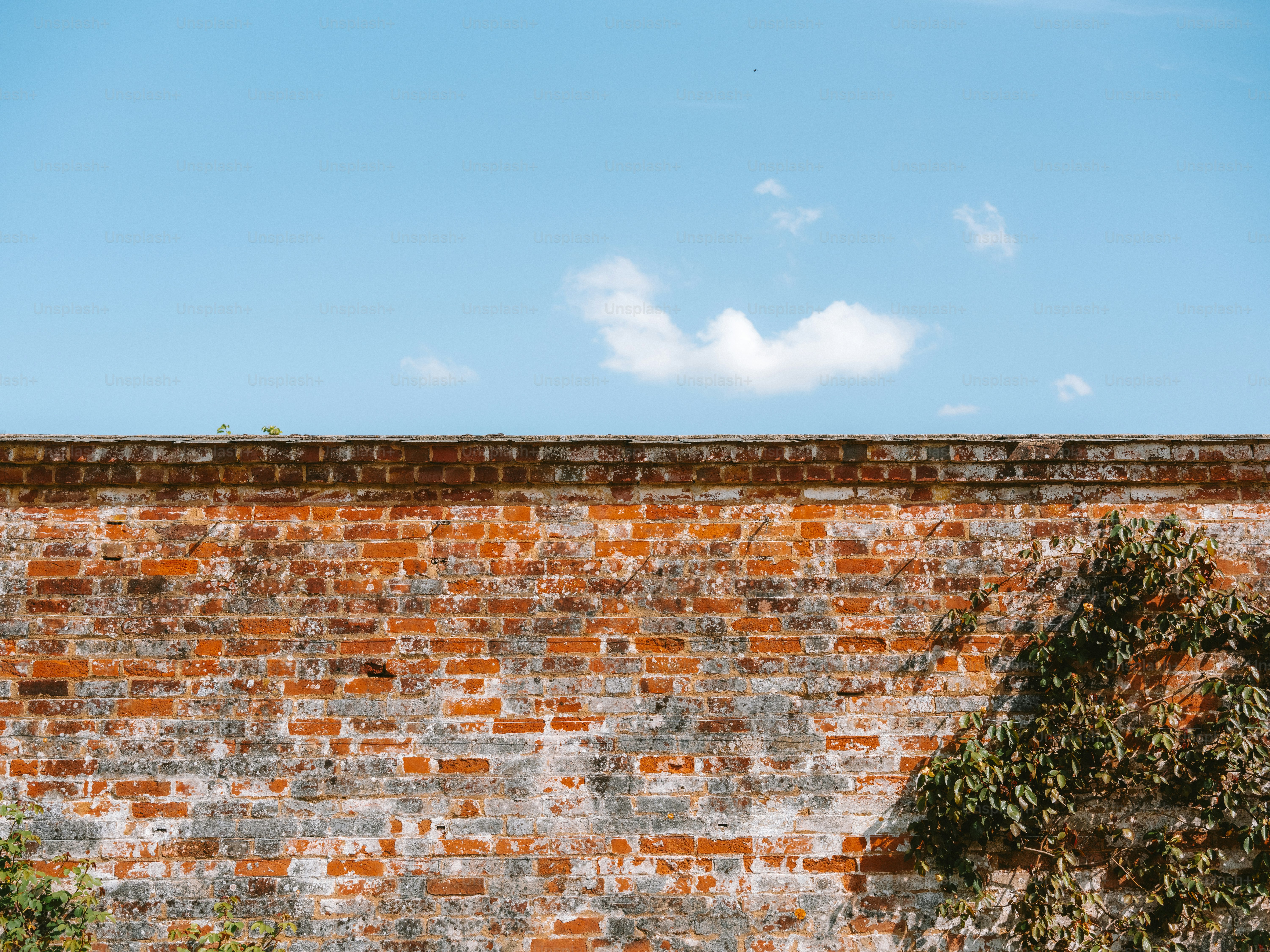 A weathered brick wall against a bright blue sky.