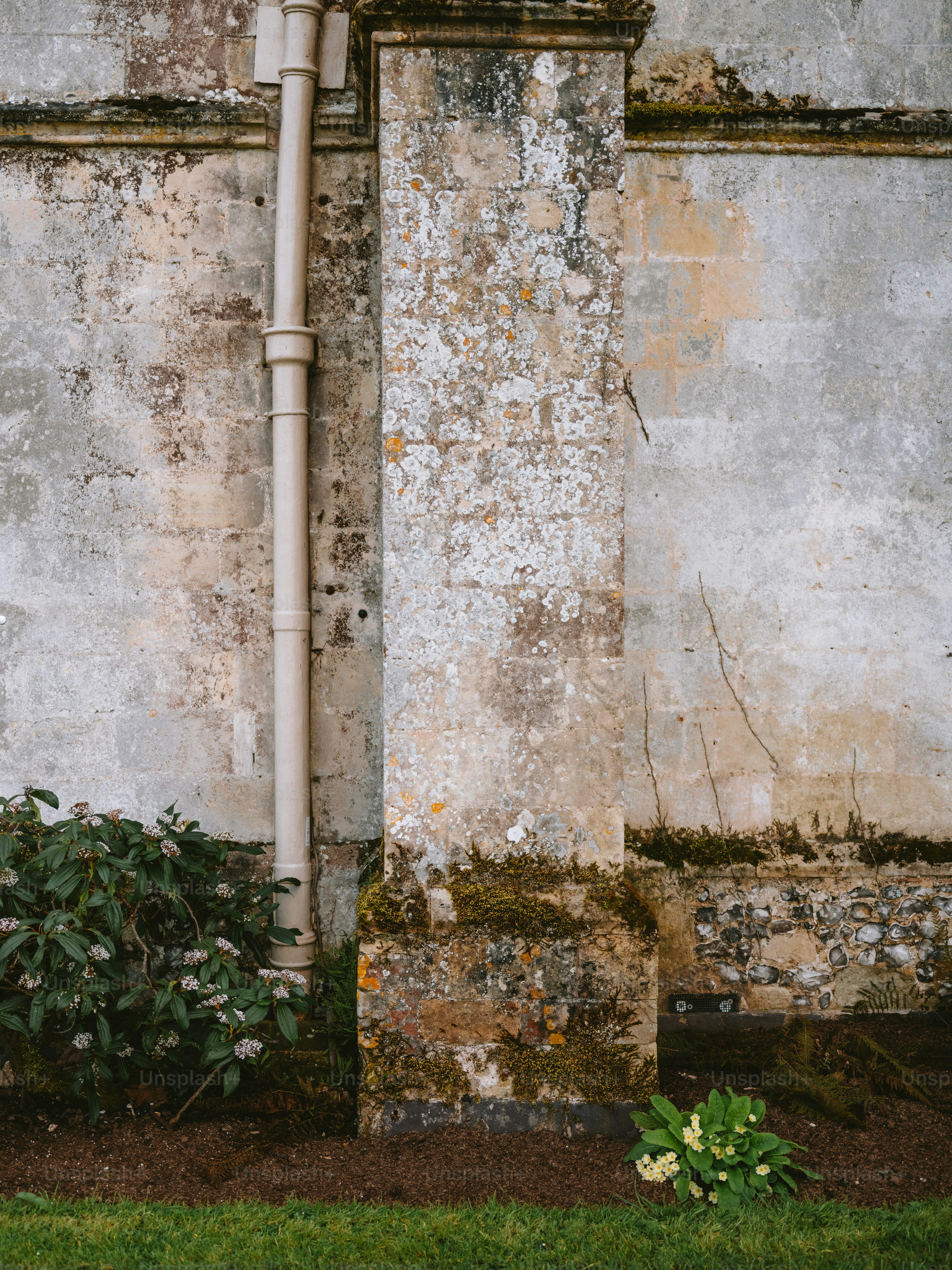 Weathered stone wall with green moss and plants