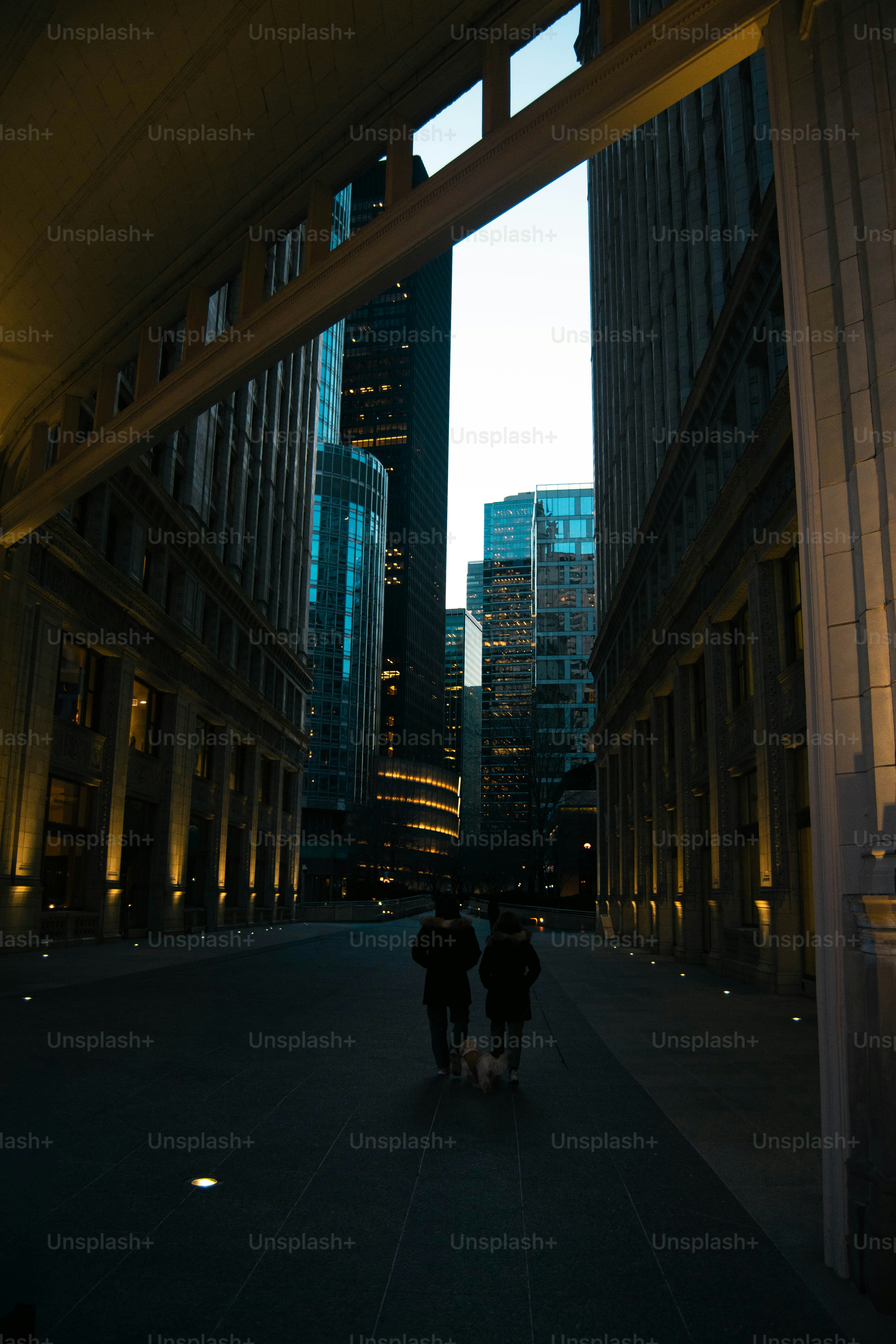 Two people walk a dog between city buildings at dusk