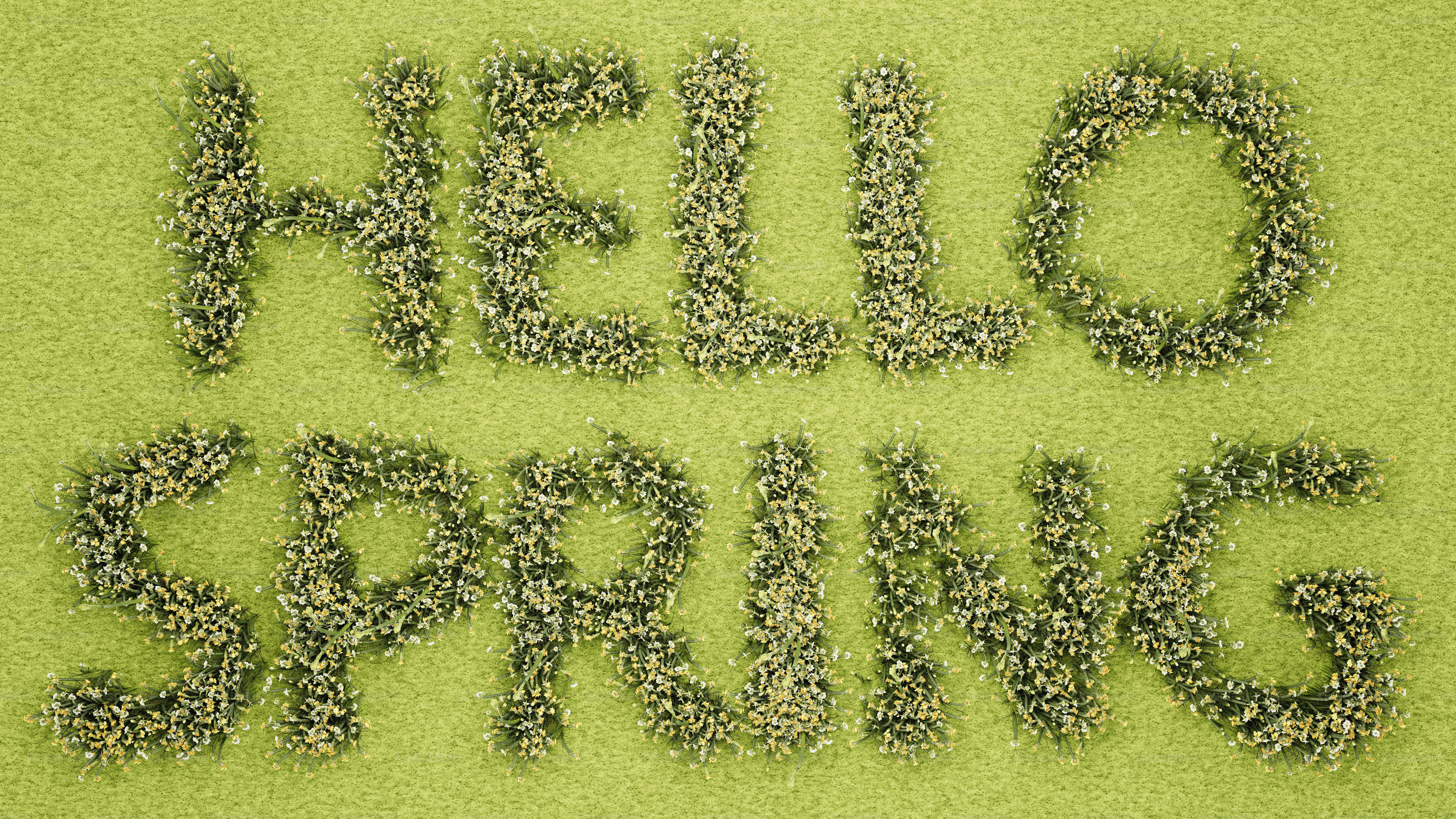 Olá, texto de primavera feito de pequenas plantas verdes