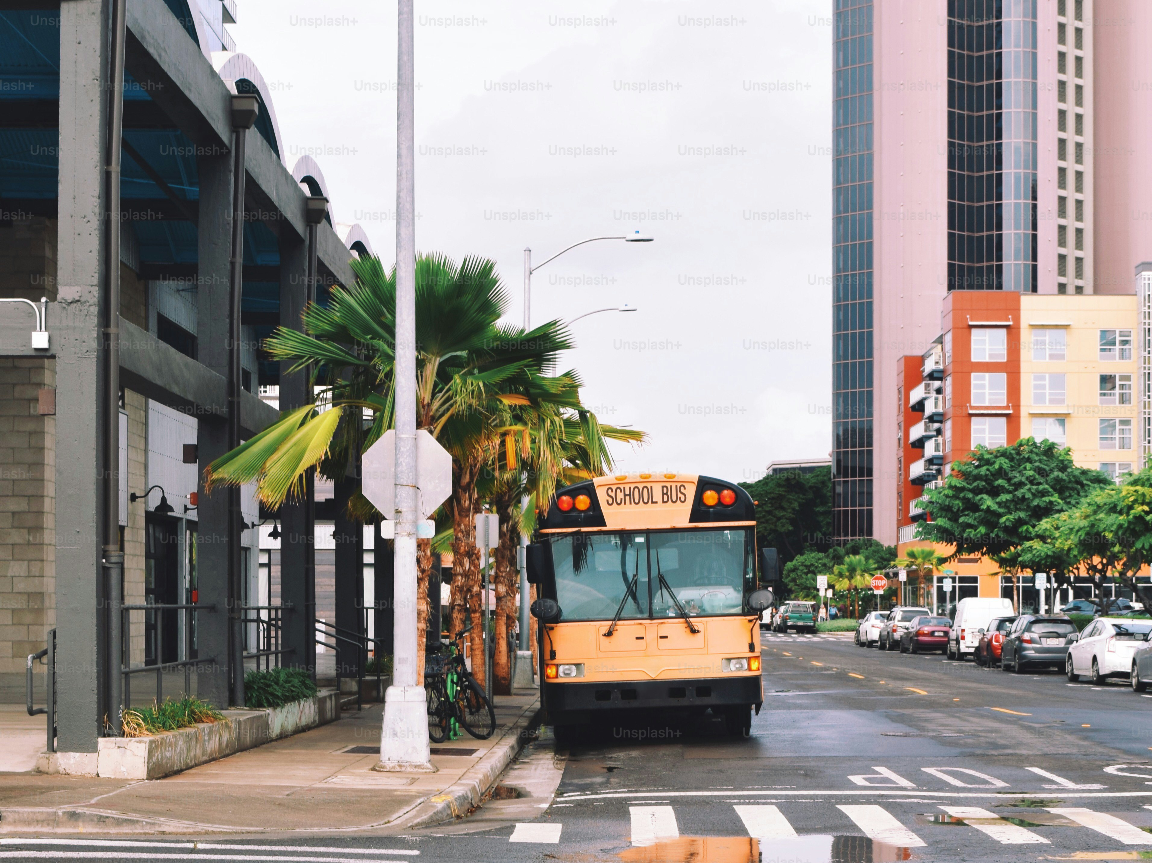 Yellow bus parked on a city street with palm trees