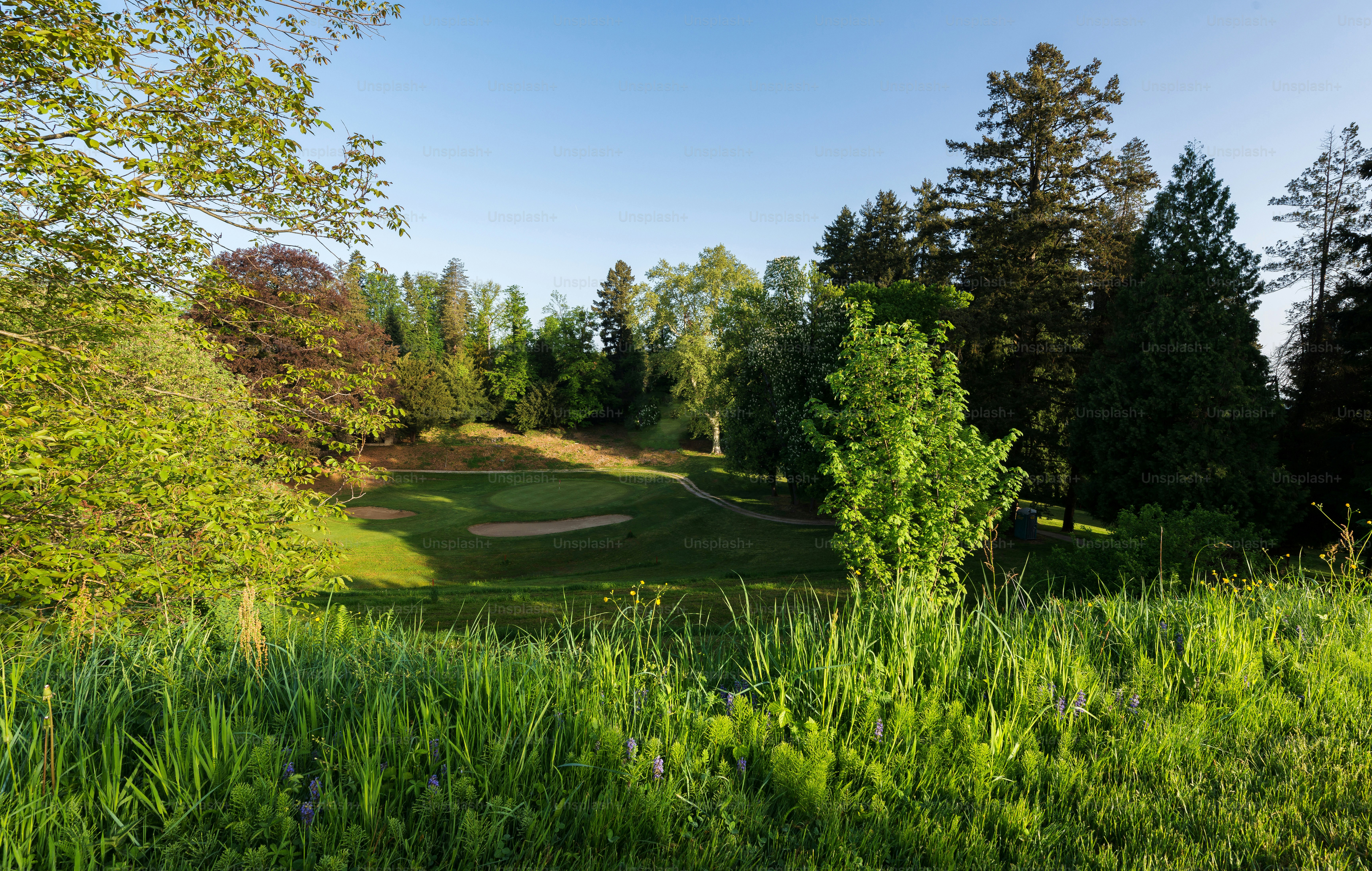Lapangan golf hijau rimbun yang dikelilingi oleh pepohonan tinggi.