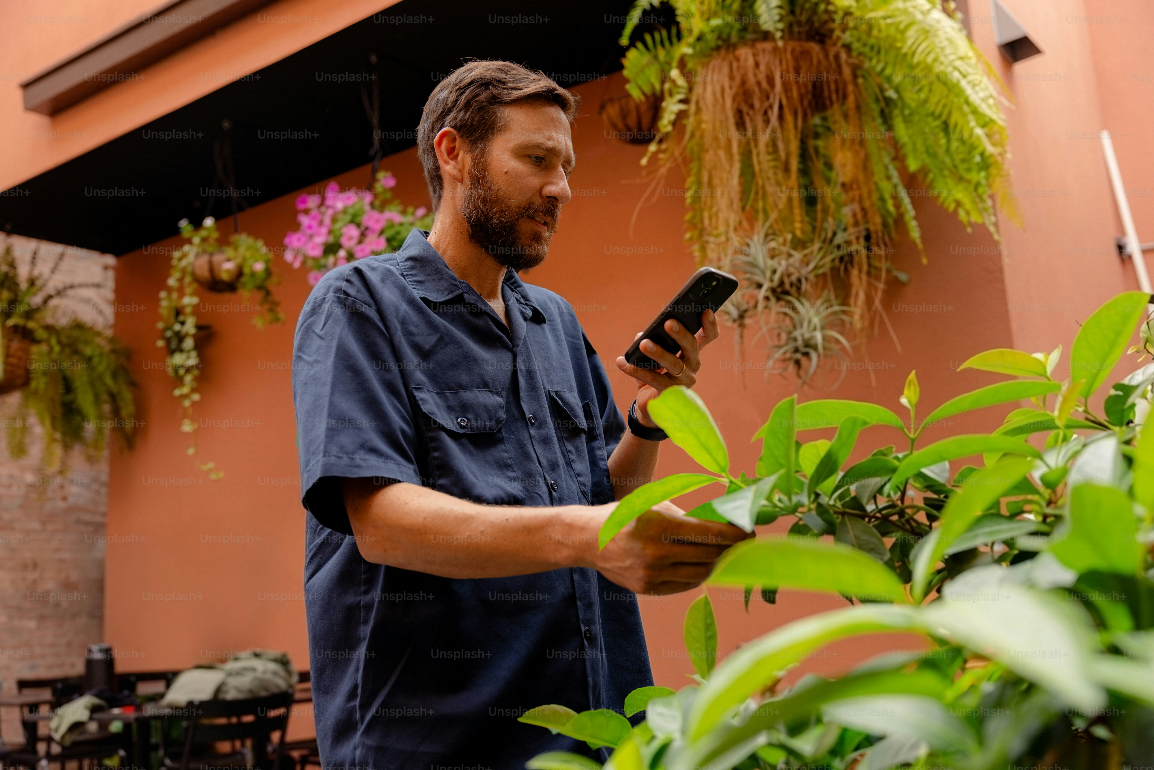 Hombre examinando plantas con un smartphone