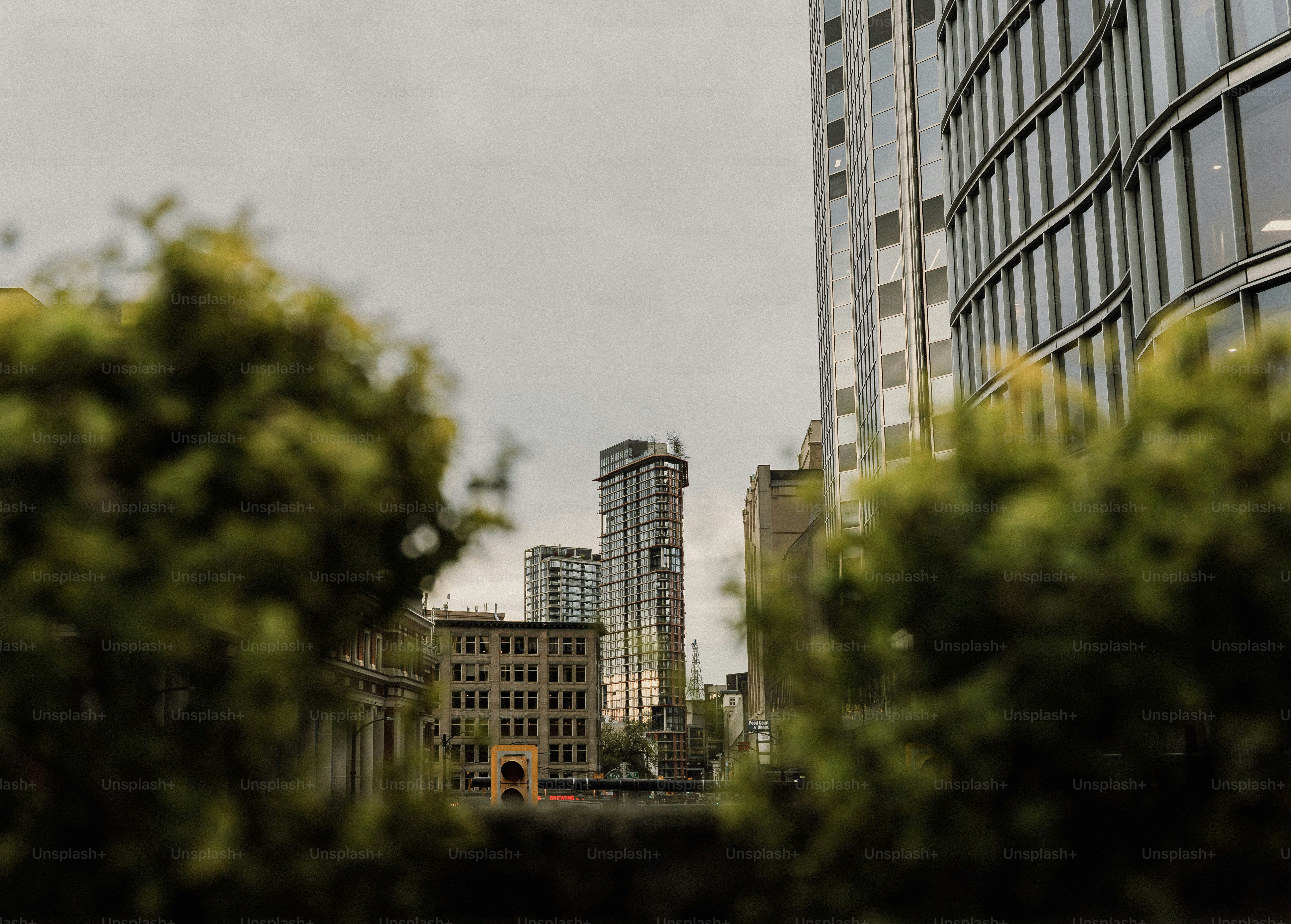 Des bâtiments modernes aperçus à travers des buissons verts flous.