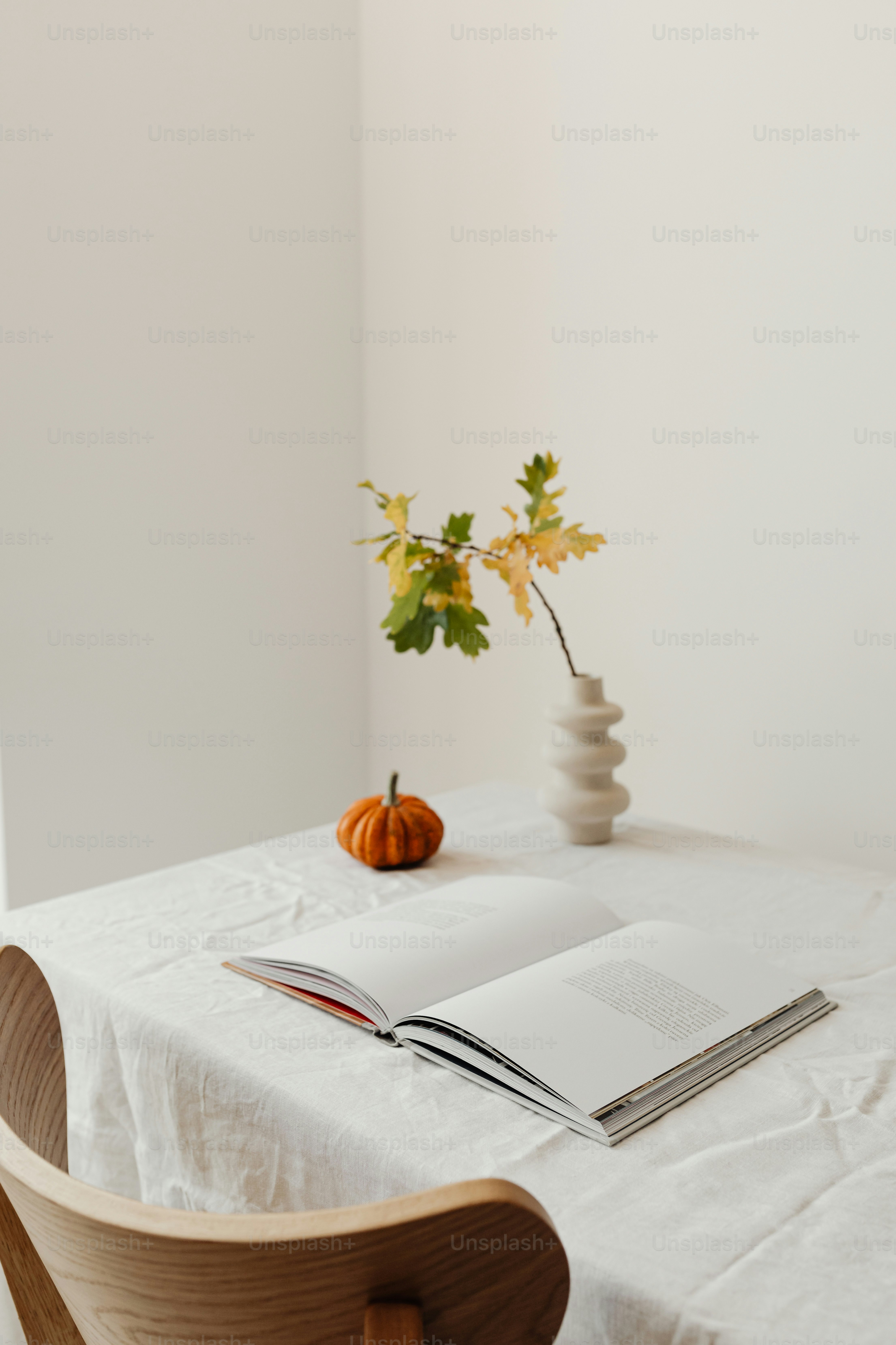 Ein offenes Buch mit einem kleinen Kürbis und Herbstblättern