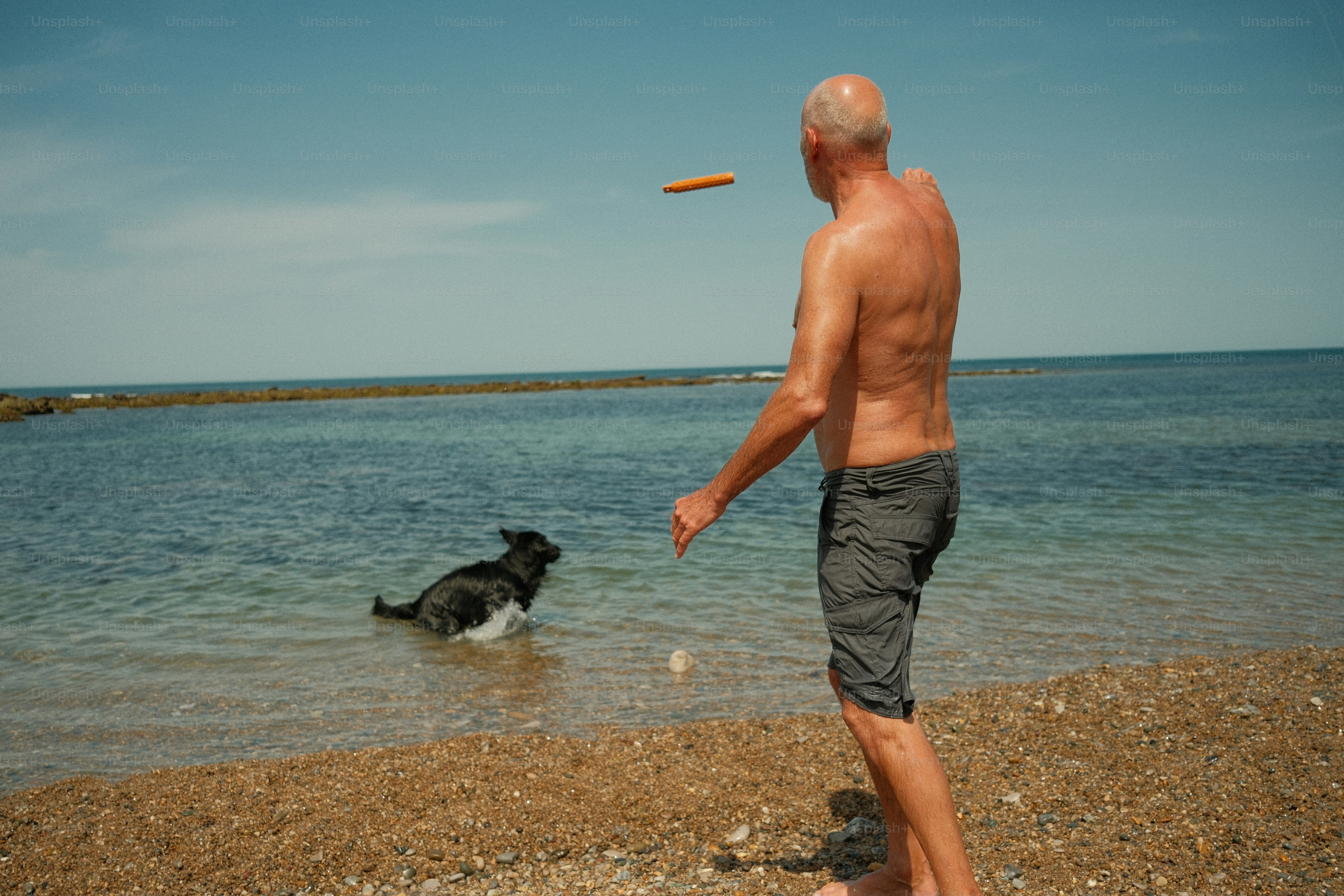 Pria melempar frisbee ke anjing di pantai