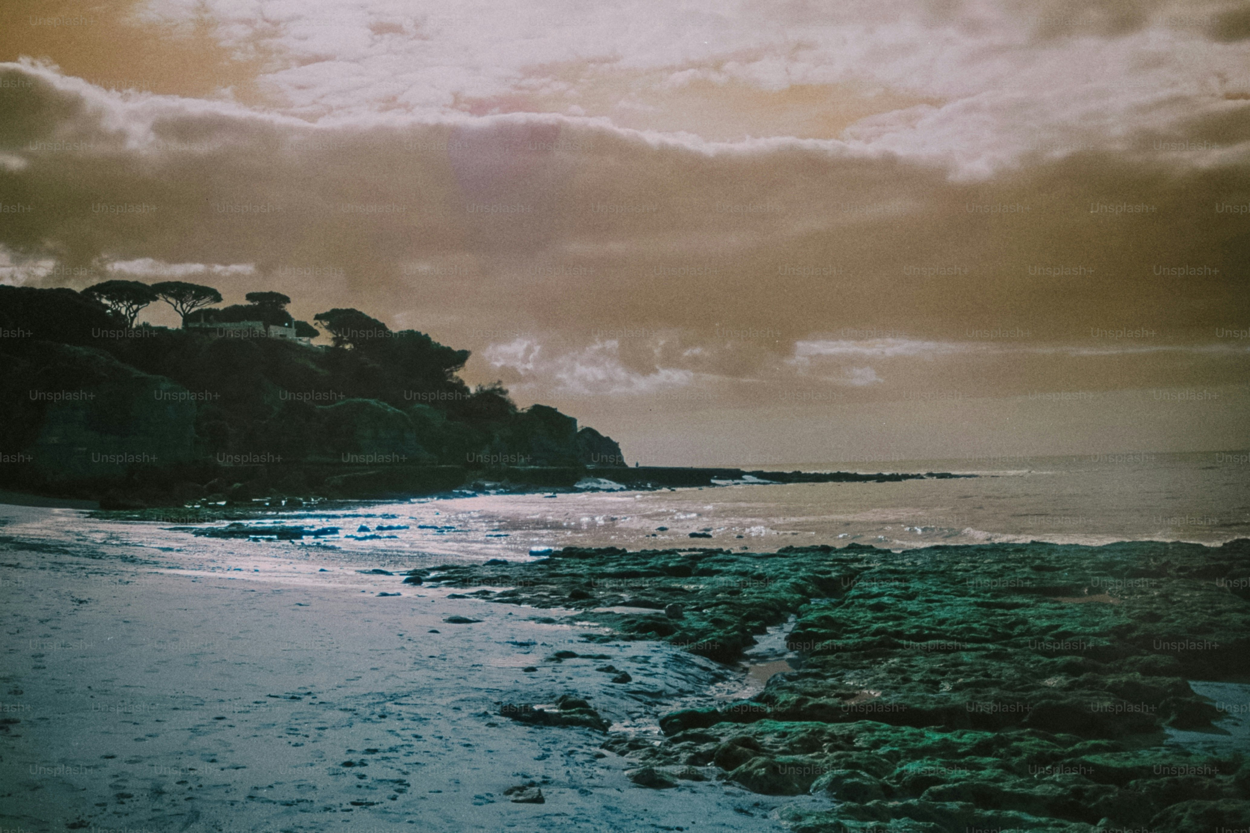 Rocky coastline with trees and ocean waves