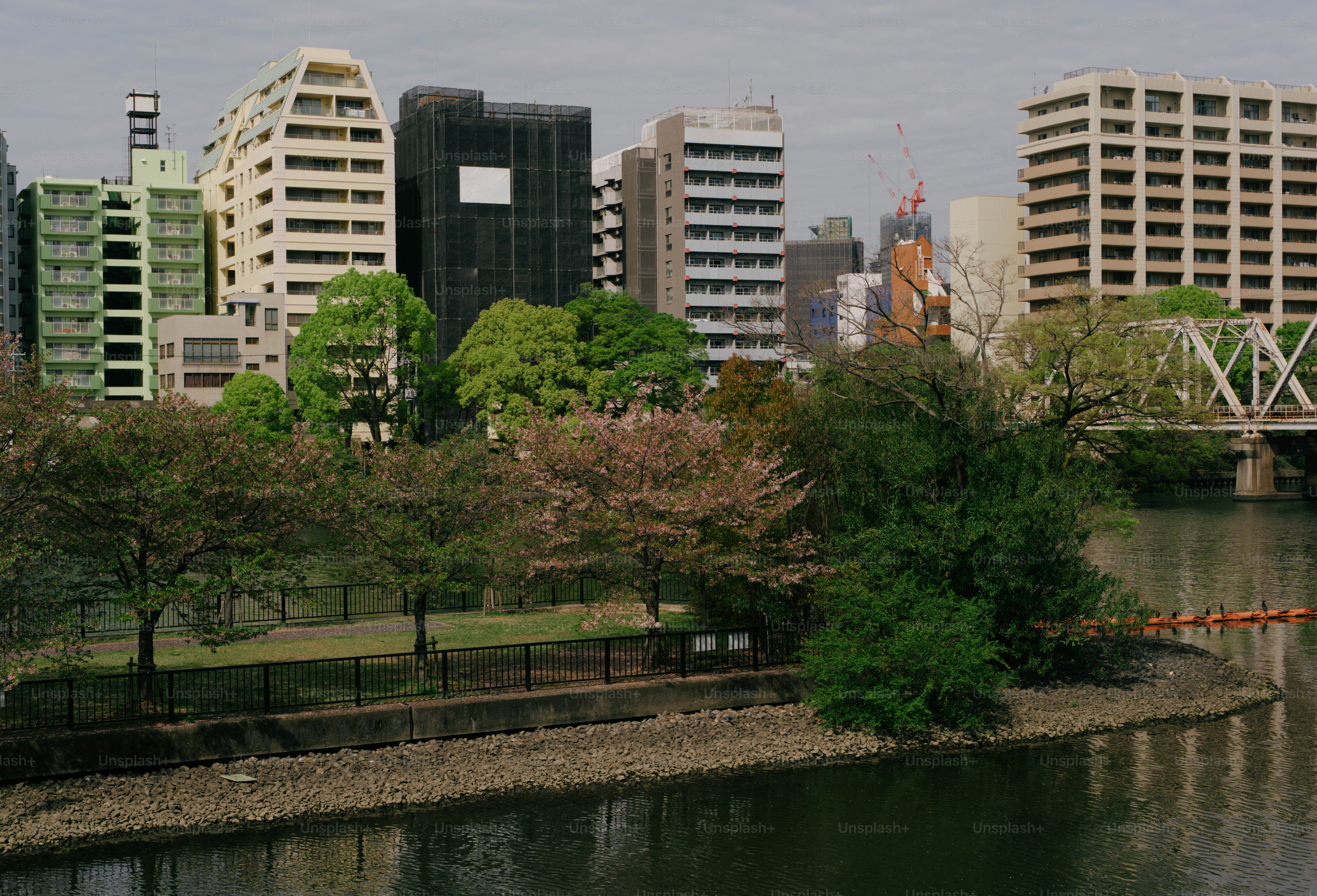 La silhouette de la ville avec des arbres et une rivière