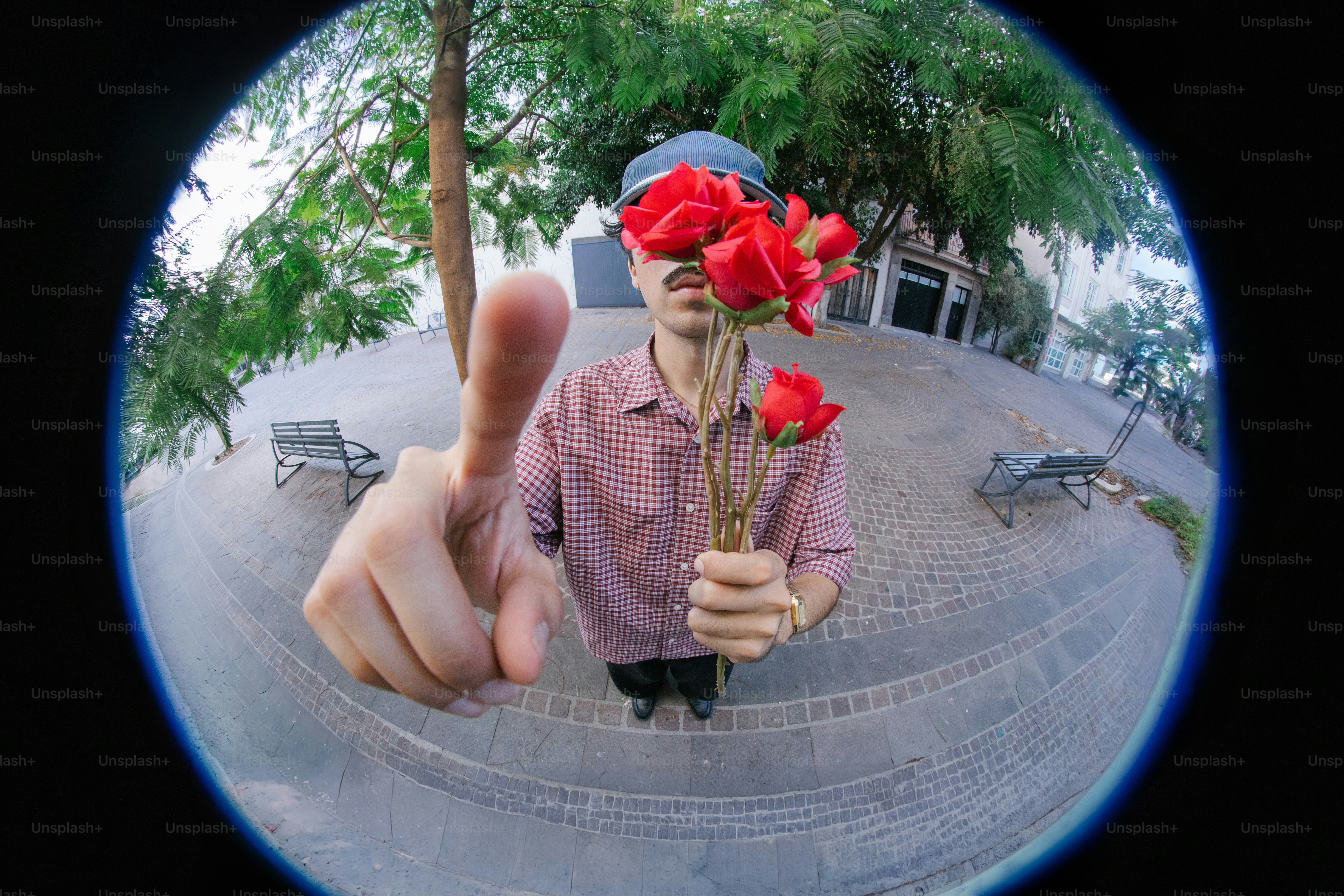 Pria memegang mawar merah dengan efek lensa fisheye